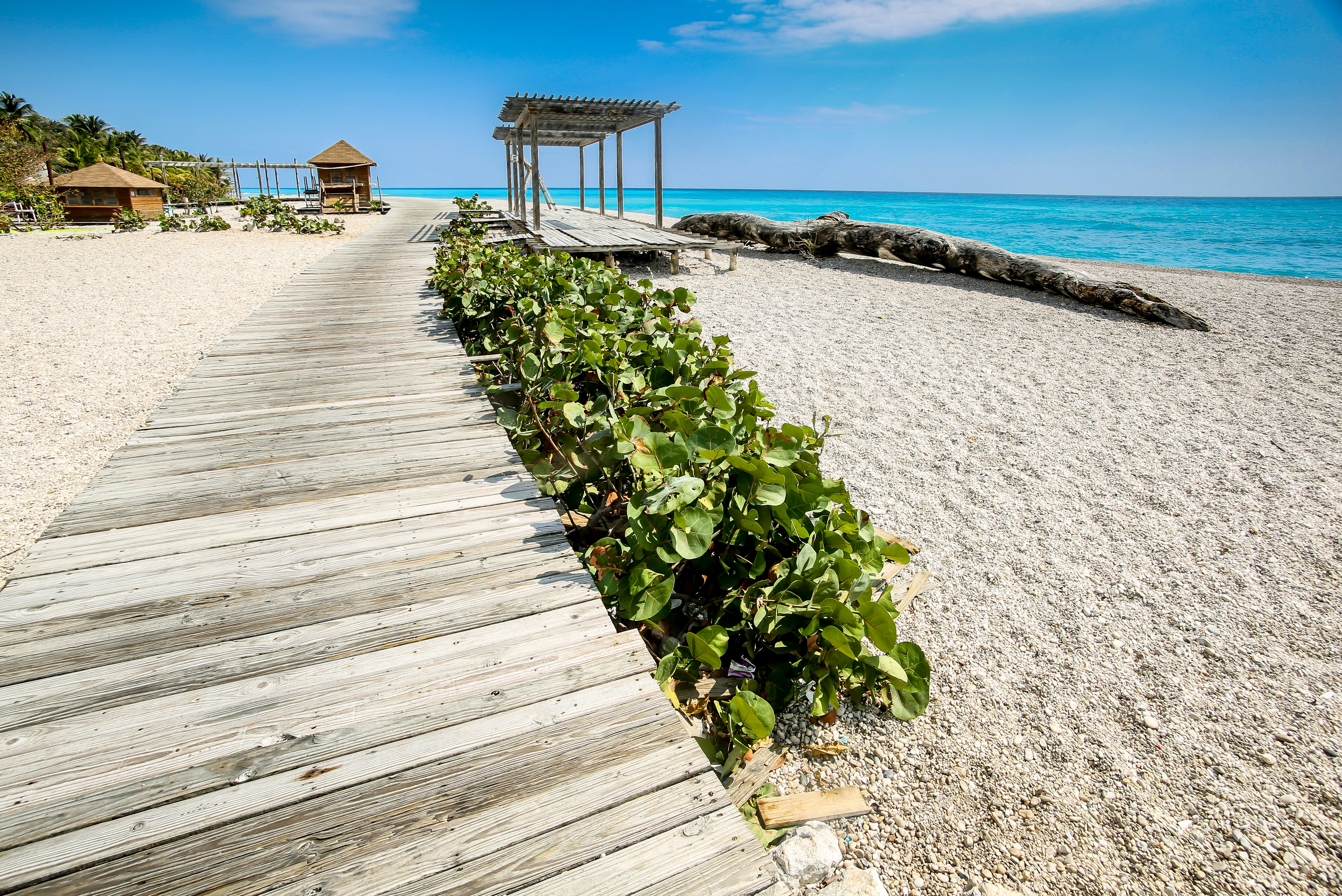 dramatic image of wooden path leading to the caribbean coast at los patos park in the dominican republic.