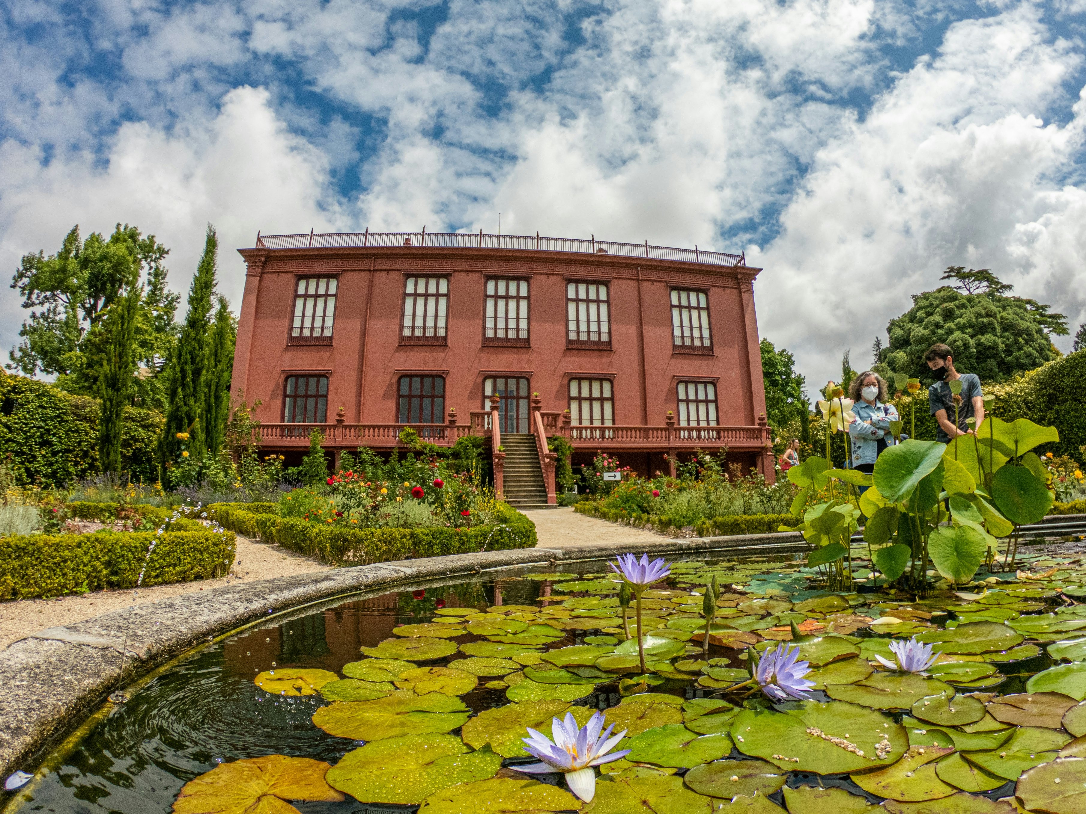 Purple water lilies bloom from lily pads in a small pond in an elegant garden. A small set of stairs leads to a historic mansion overlooking the pond.