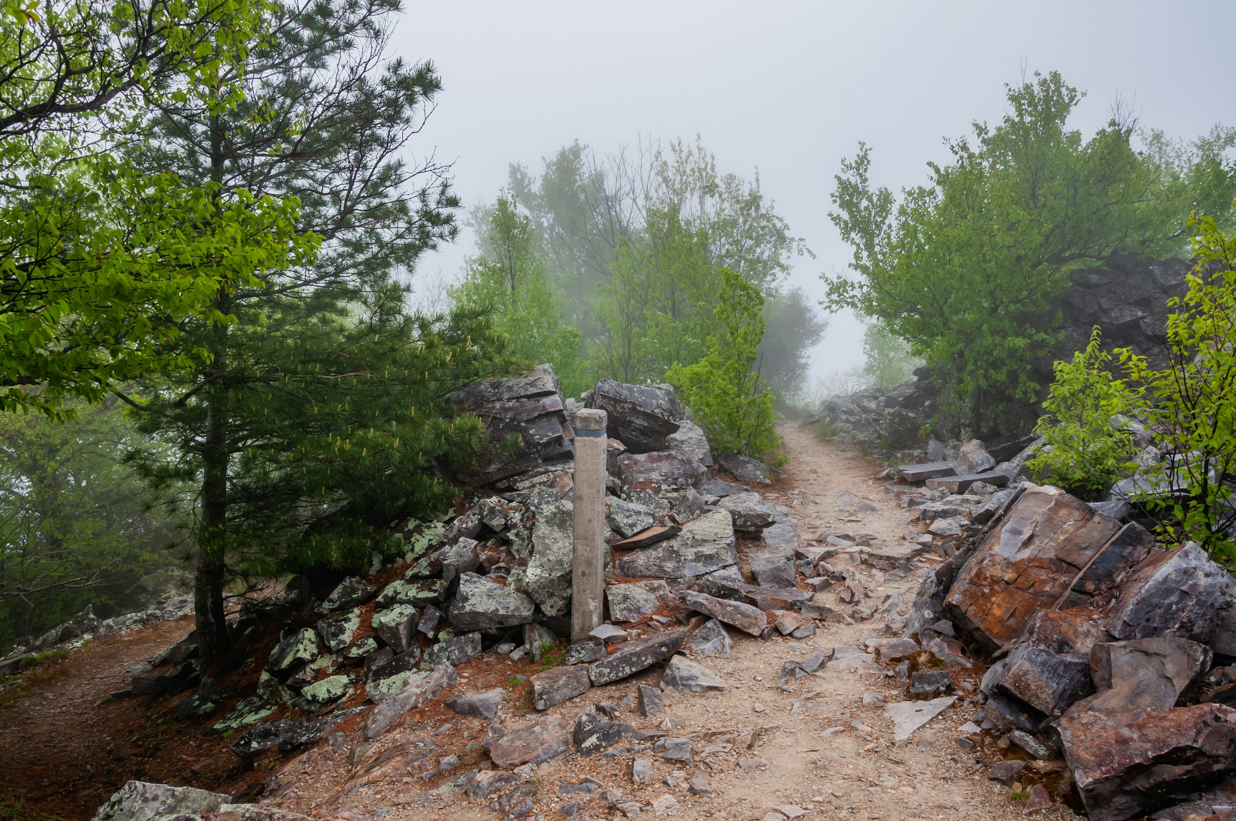 A trail marker on a foggy trail with lots of rocks surrounding it