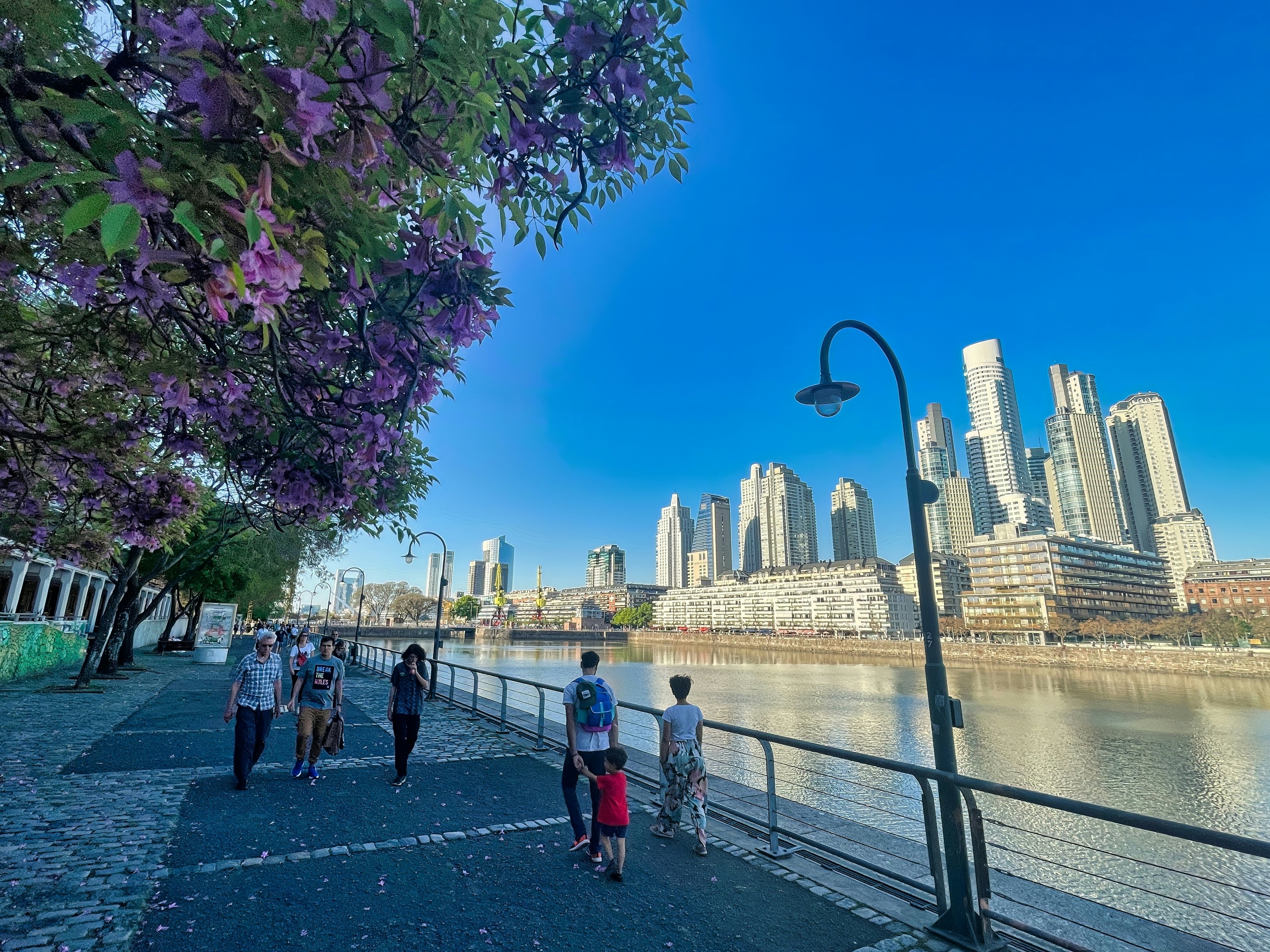 People walk on a path by water in Buenos Aires; there are trees with purple flowers on one side and tall buildings on the other.