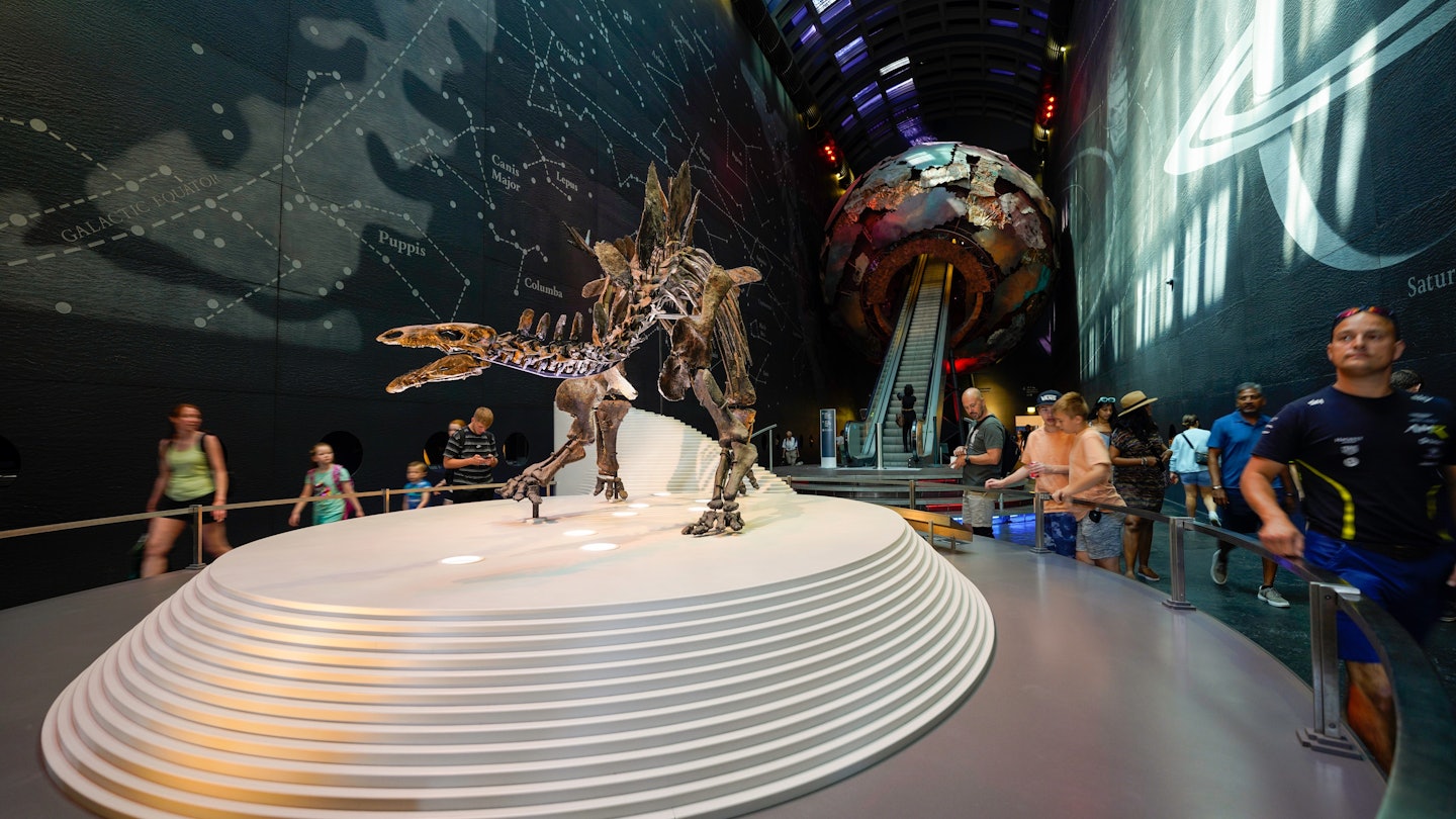 London, England, United Kingdom - July 29, 2022. Natural History Museum in London, museum interior featuring dinosaur skeletons. Dippy being the most famous. Hope, the whale skeleton is popular also., License Type: media, Download Time: 2025-01-06T09:53:59.000Z, User: Norma.PrauseBrewer_LonelyPlanet, Editorial: true, purchase_order: 56530 - Guidebooks, job: Global Publishing WIP, client: London 14, other: Norma Brewer