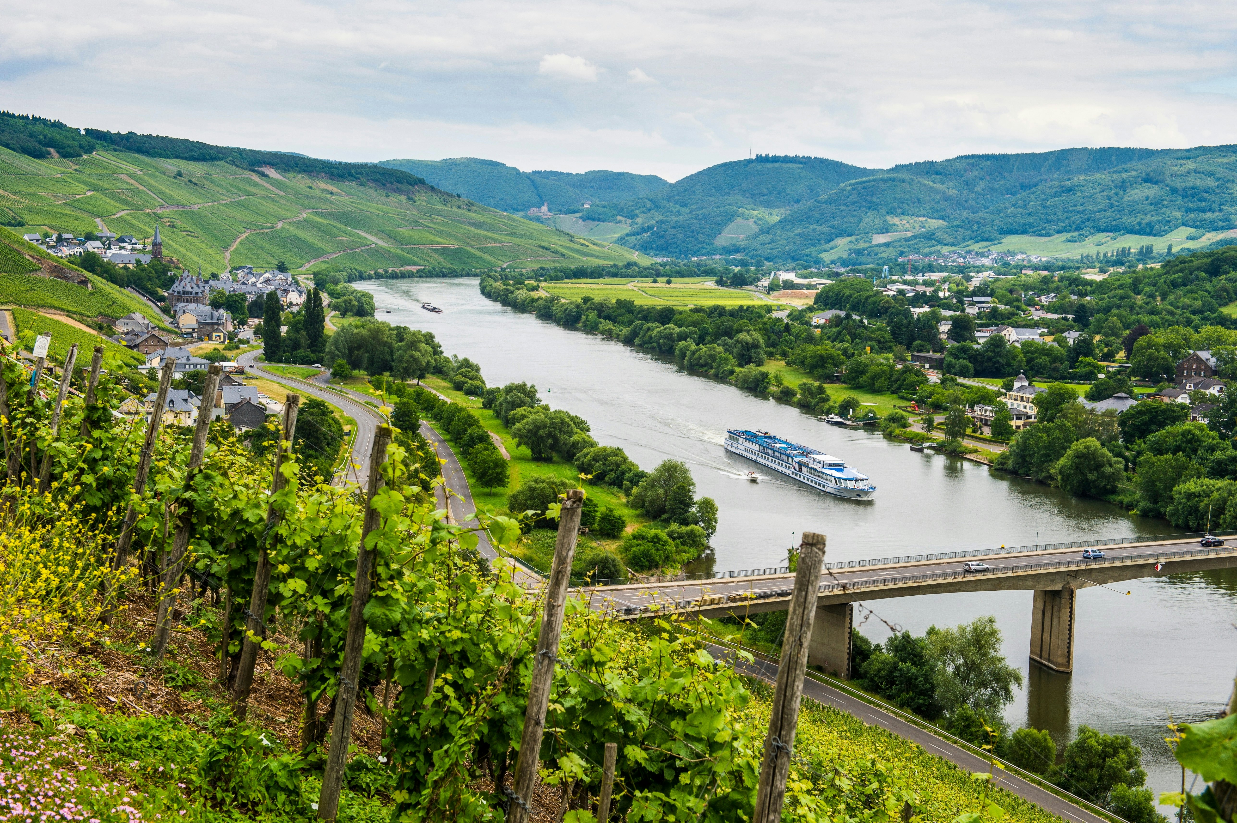 A view of vineyards planted on a steep hill leading down to a river. A cruise ship on the water is about to pass under a bridge.