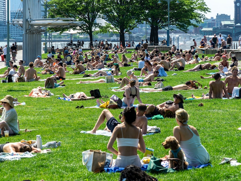 Throngs of visitors on the lawn at the Christopher Street Pier in Hudson River Park in New York