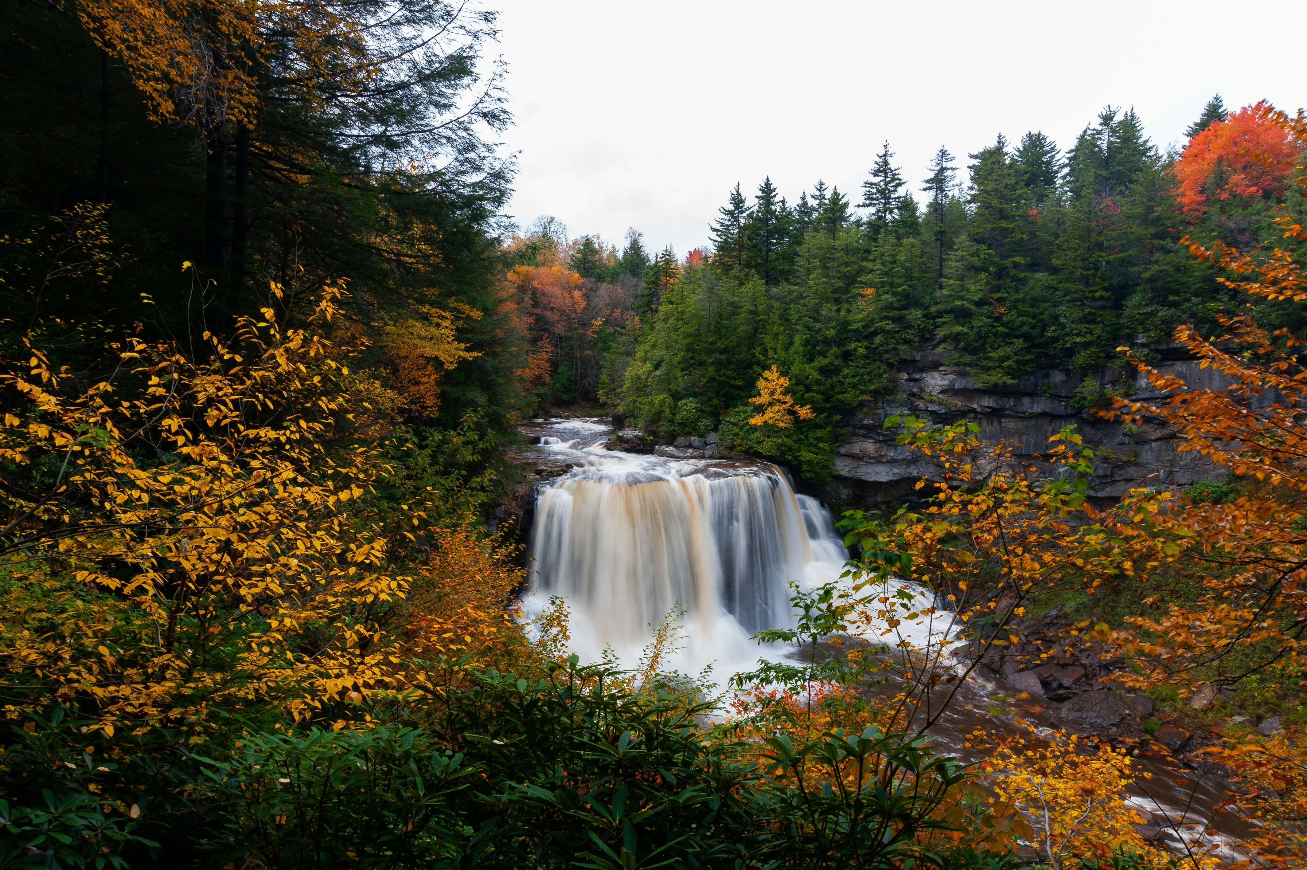 A waterfall and trees in autumn