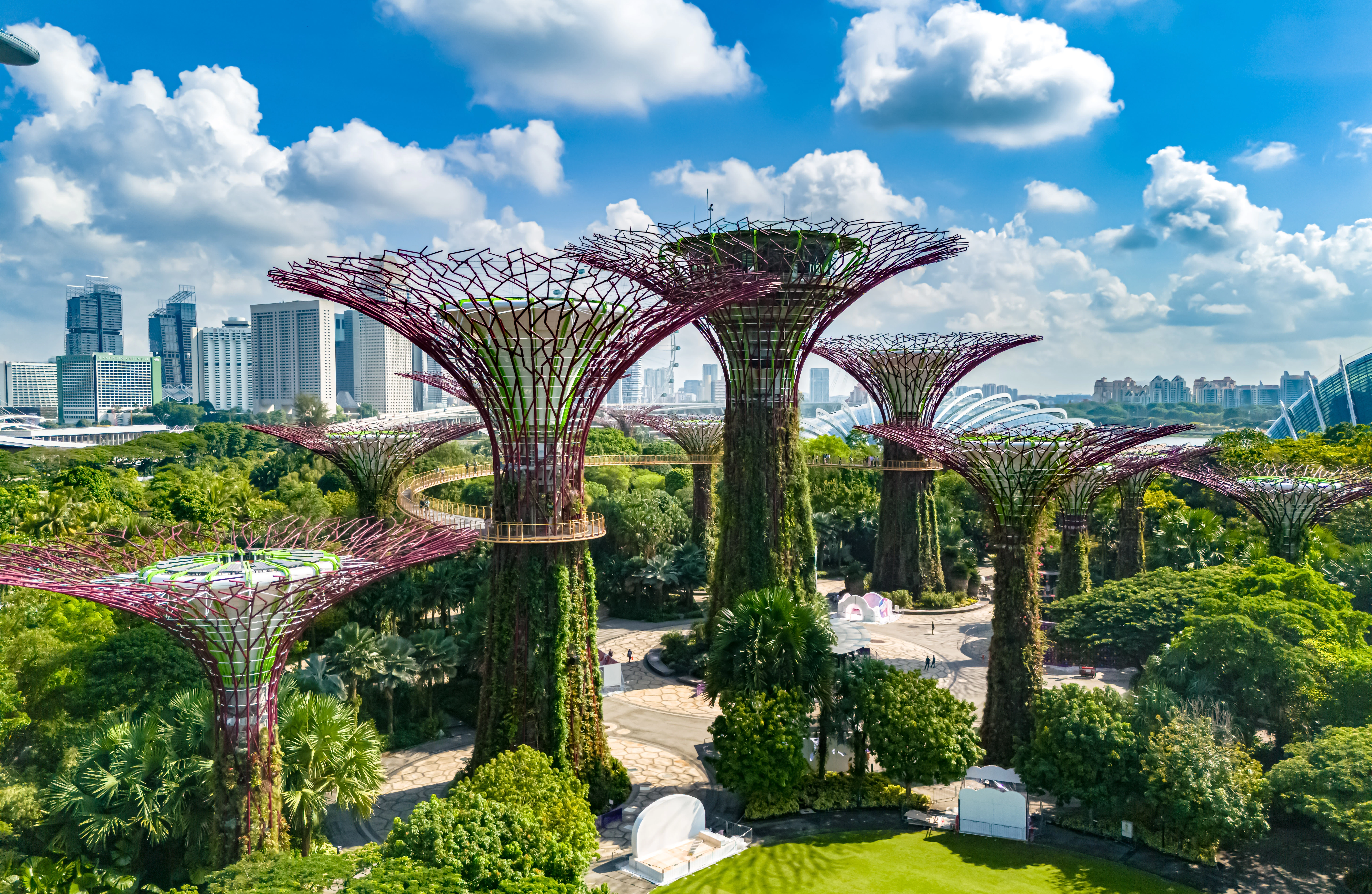 The futuristic skyline of the Gardens by the Bay in Singapore.