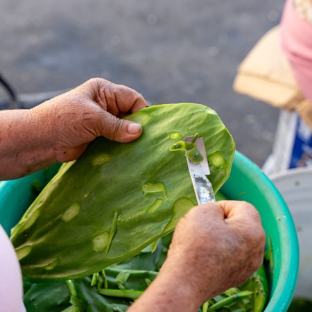 Hands of an older woman peeling bright green nopales