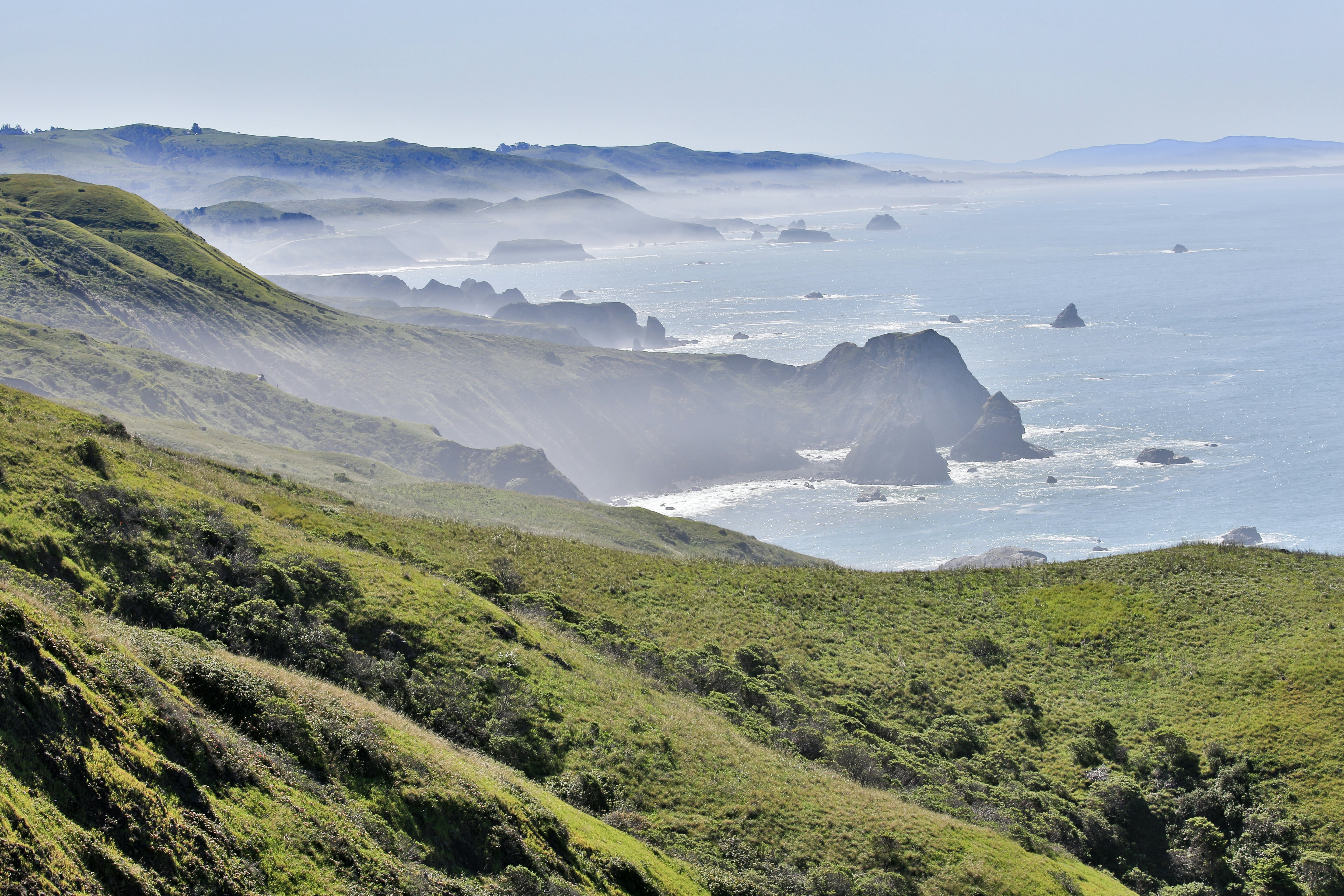 Foggy morning at Bodega Bay via Pacific Coast Highway. Sonoma County, California