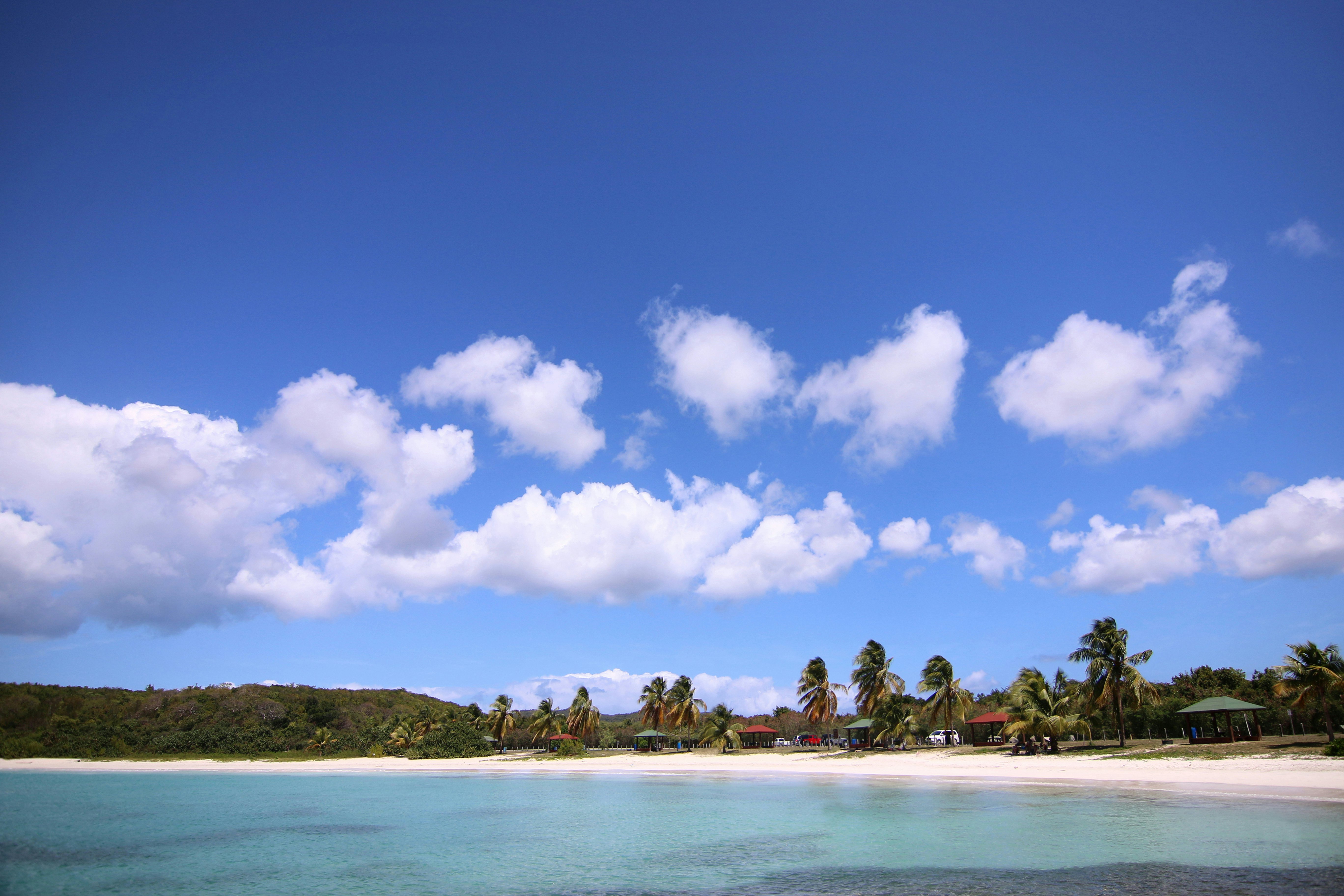 Caracas Beach, Vieques Island, Puerto Rico
