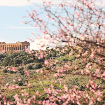 Temple of Concordia in Agrigento. Greek temples of Sicily in nature in the spring; Shutterstock ID 750436402; purchase_order:65050 - Digital Destinations and Articles; job:Online editorial; client:When to go to Sicily; other:Claire Naylor
750436402