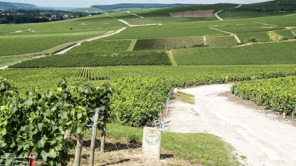 フランスのシャンパン地域の中心部にあるA家を訪れる5つの理由