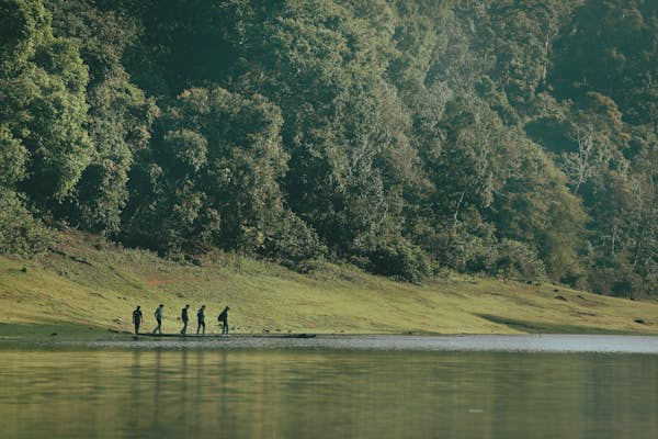 India’s best coffee, spice and tea farm stays