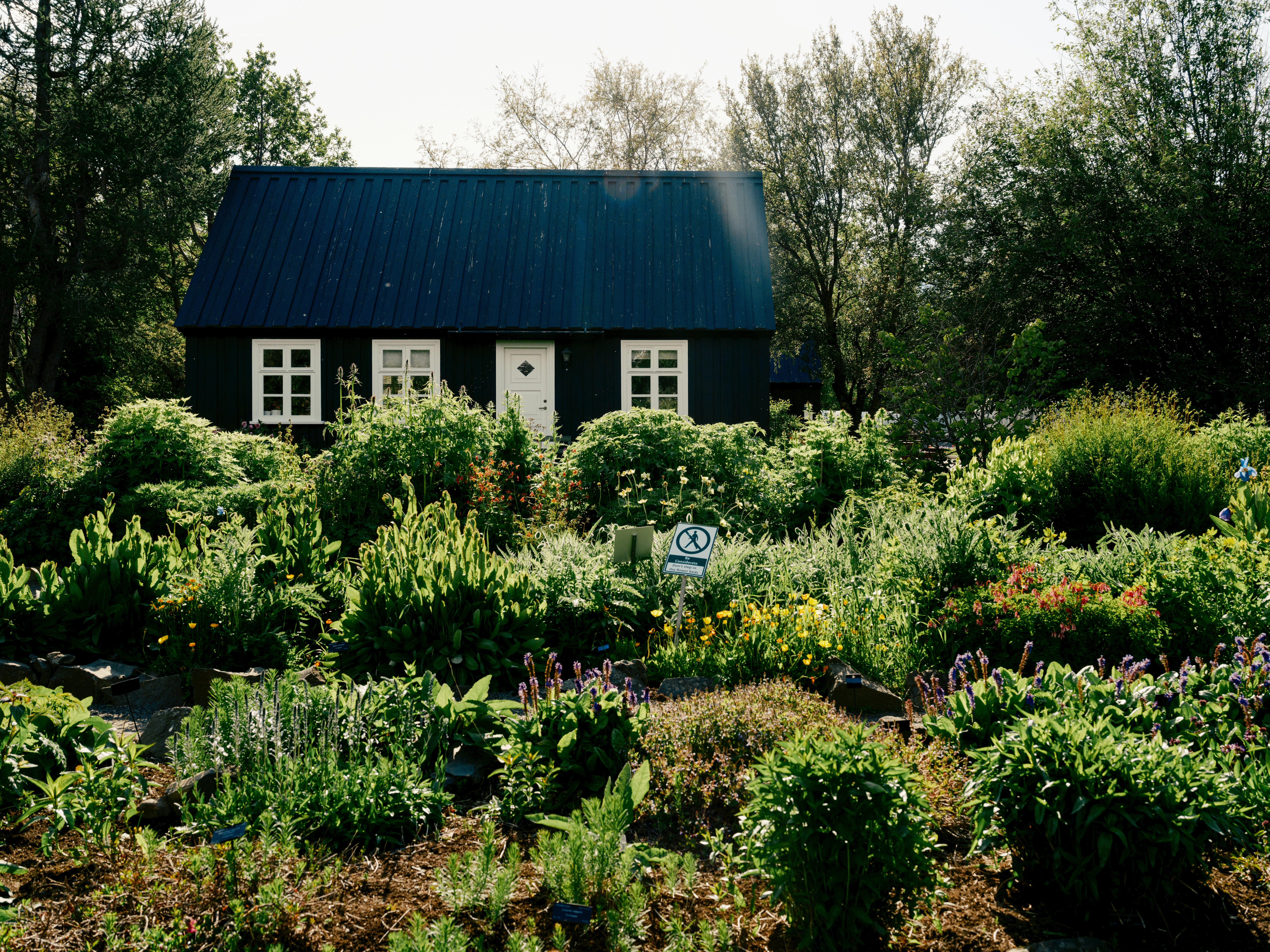 Dark-colored house with white shingles set among herbs and plants with trees in the distance and sun shining over the house's sloped roof.