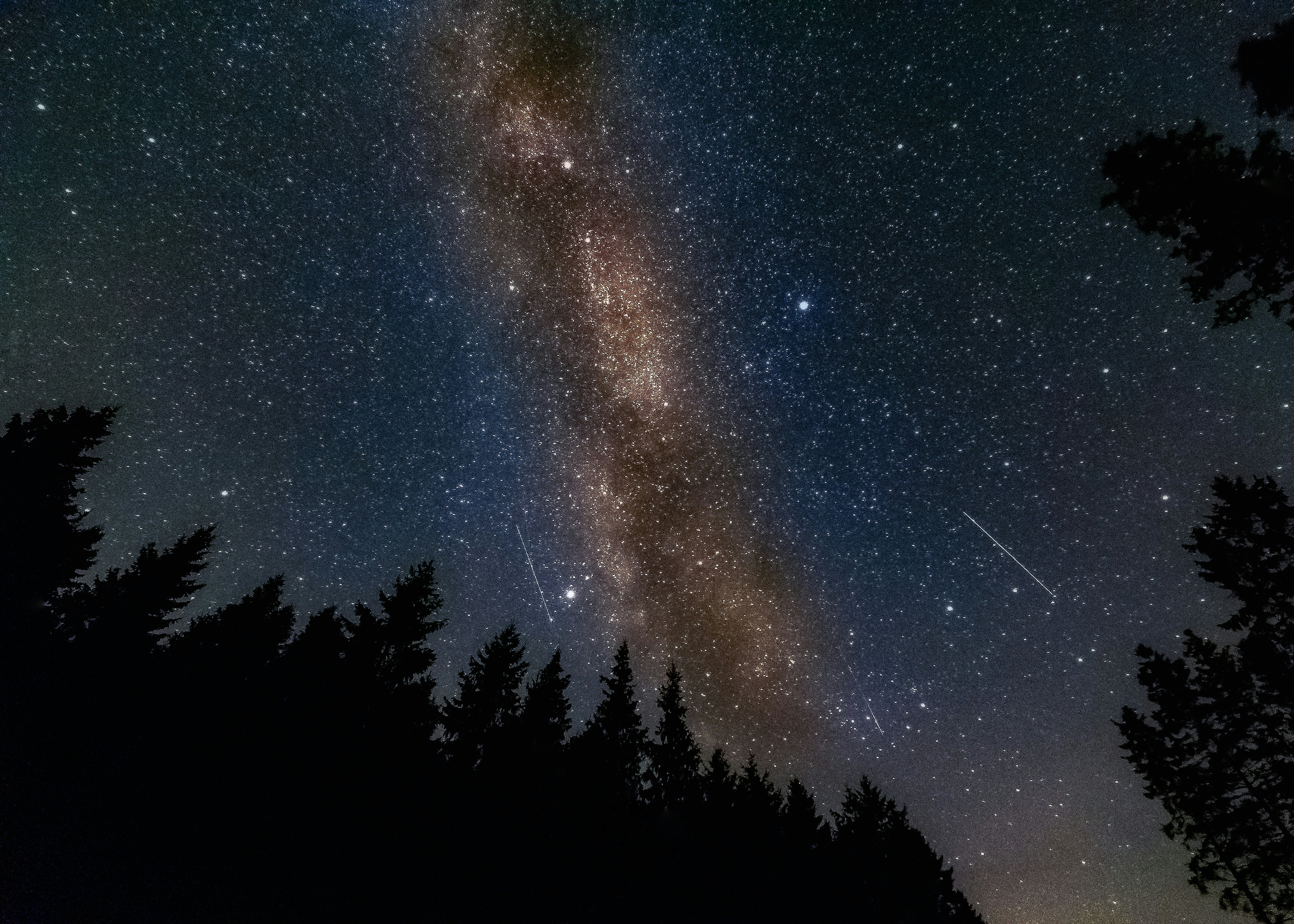 The night sky, with trees in silhouette, showing a cluster of stars and some shooting stars.