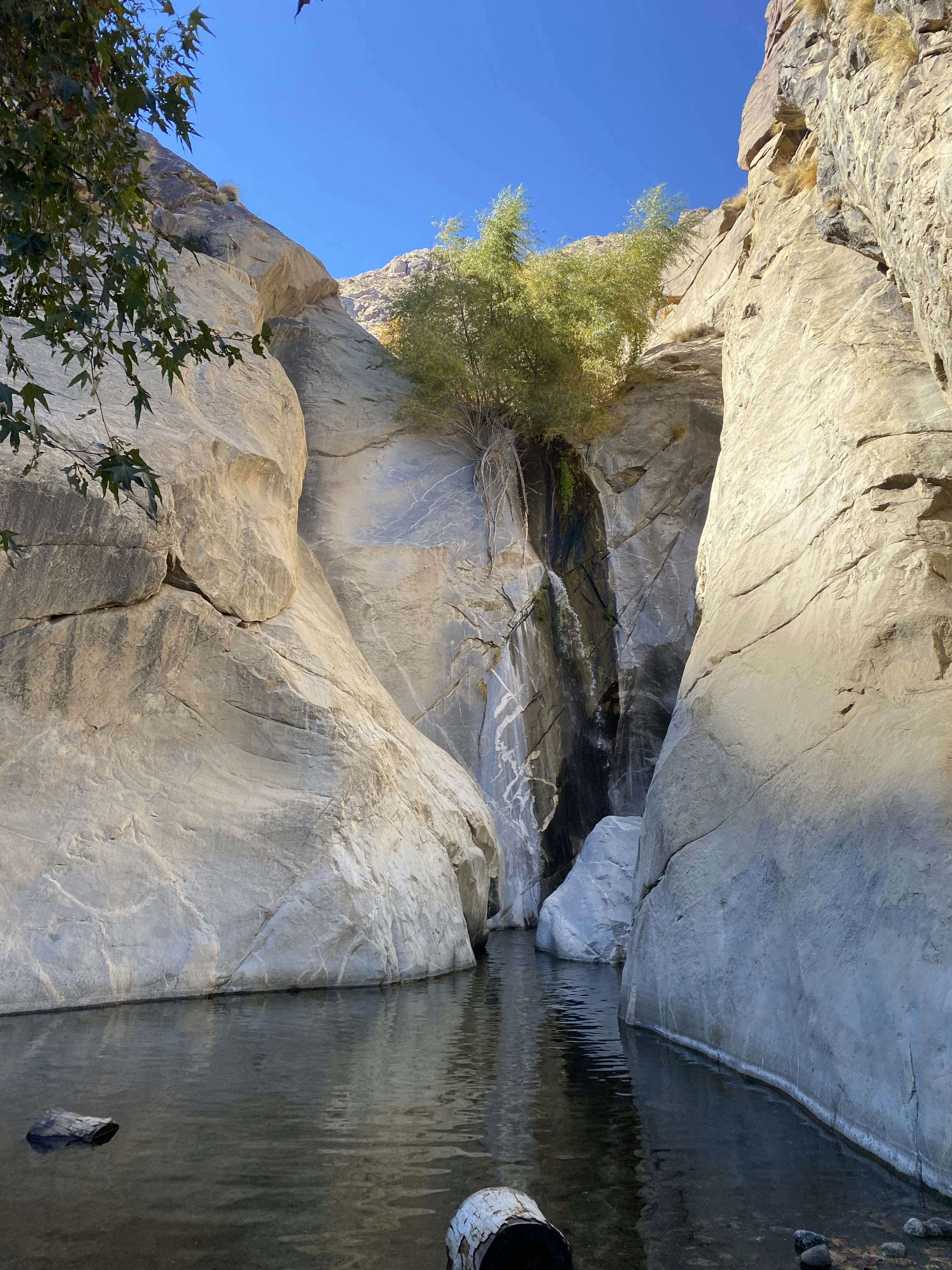Palm Springs Ultimate Weekend-Chamidae Ford