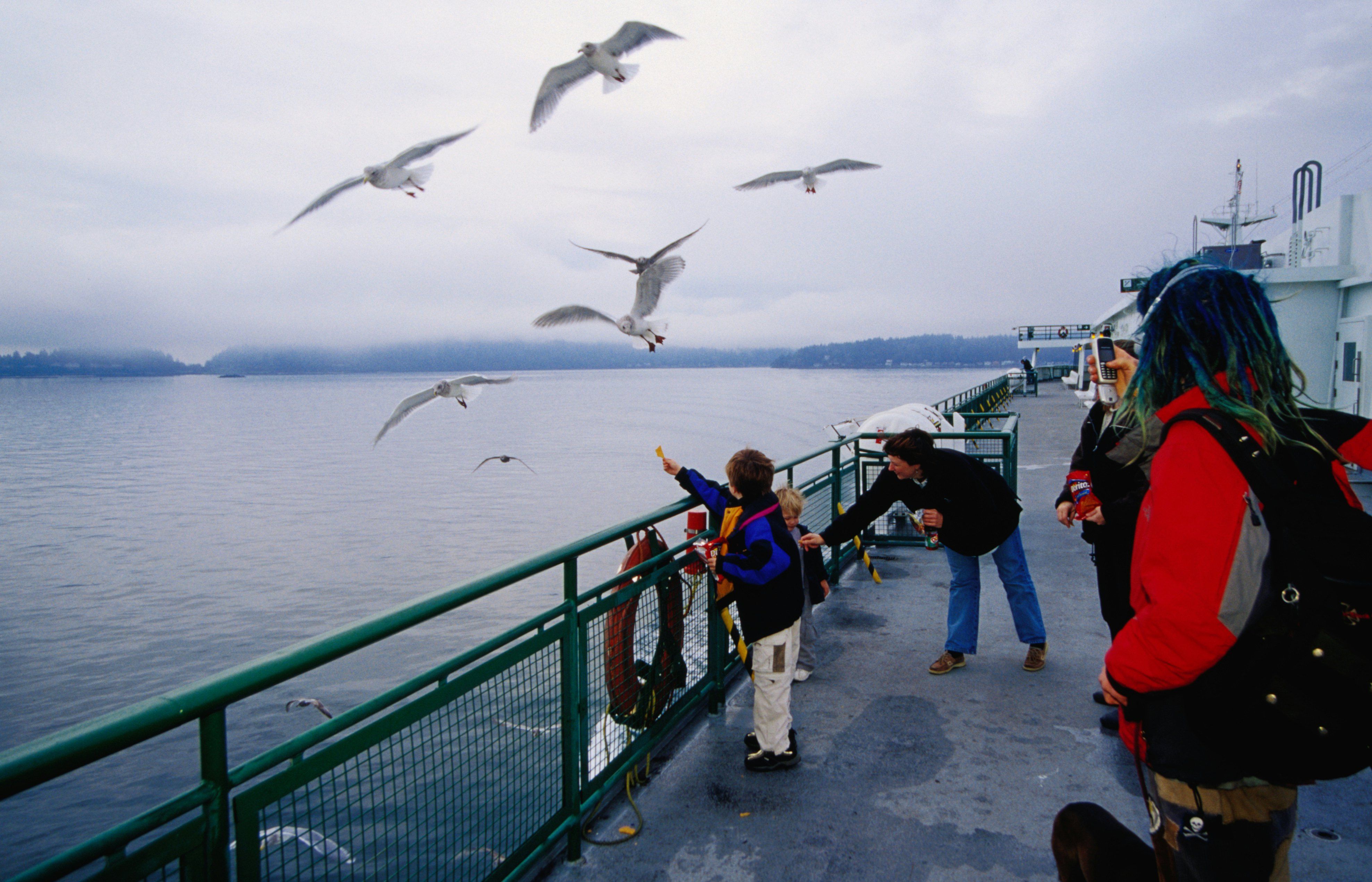 Seagulls flying past a ferry on WA State Ferry System, Seattle