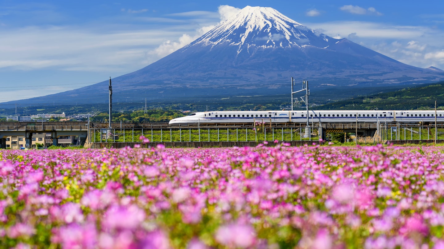 SHIZUOKA JAPAN - MAY 05 2017: Shinkansen or JR Bullet train running pass through Mt. Fuji and Shibazakura at spring. Super high speed train N700 can transit between Tokyo and Osaka. License Type: media Download Time: 2023-04-25T17:35:44.000Z User: lonelyplanetmedia Is Editorial: Yes purchase_order: