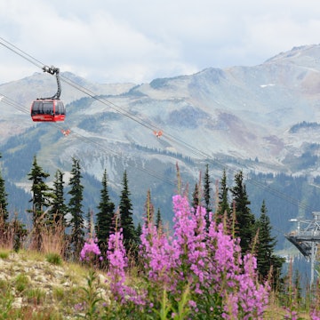 Whistler, BC / Canada - August 31, 2019: View of the PEAK 2 PEAK Gondola with Whistler Mountain as backdrop in summer. Photo taken on Blackcomb Mountain. License Type: media Download Time: 2024-04-16T08:04:16.000Z User: Is Editorial: Yes purchase_order: