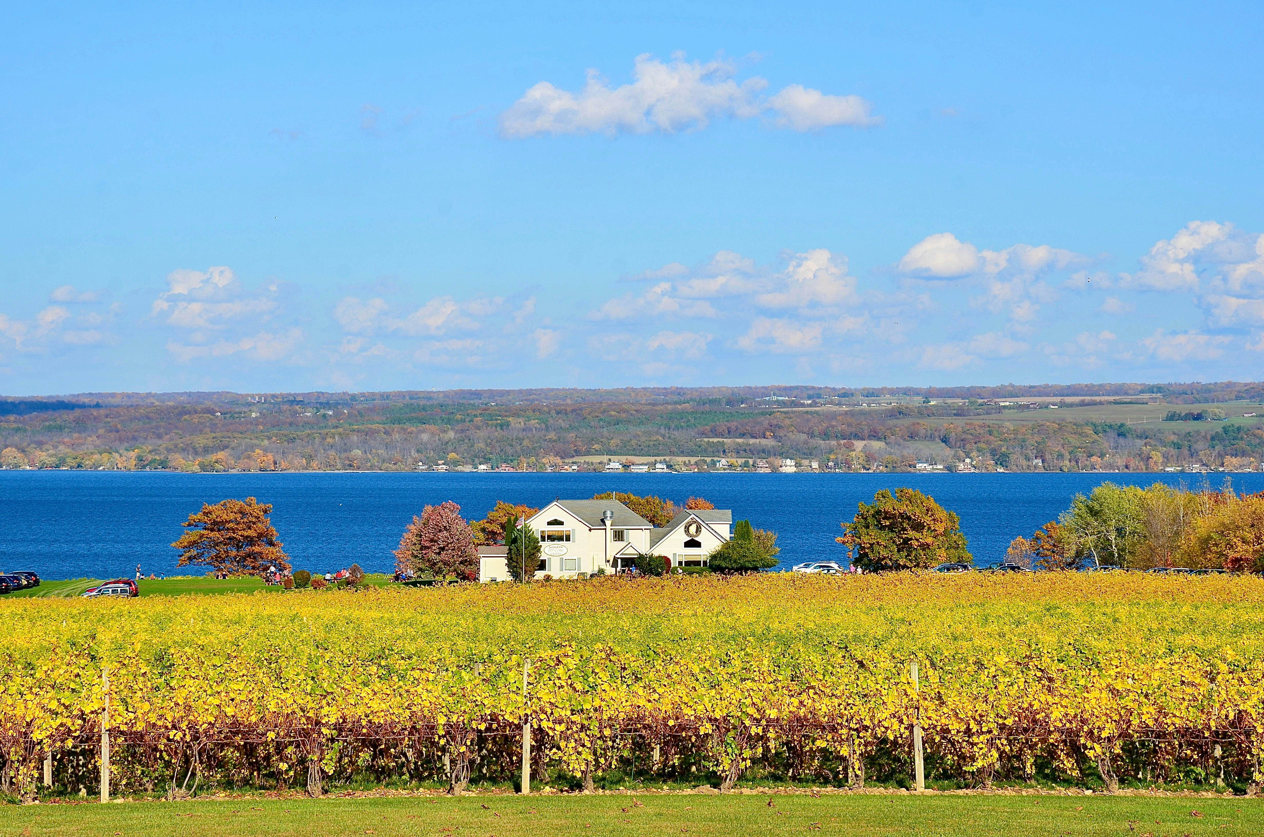 Large white house with autumnal-colored vineyard in front and lake view in the distance and trees on the far horizon on a sunny day.