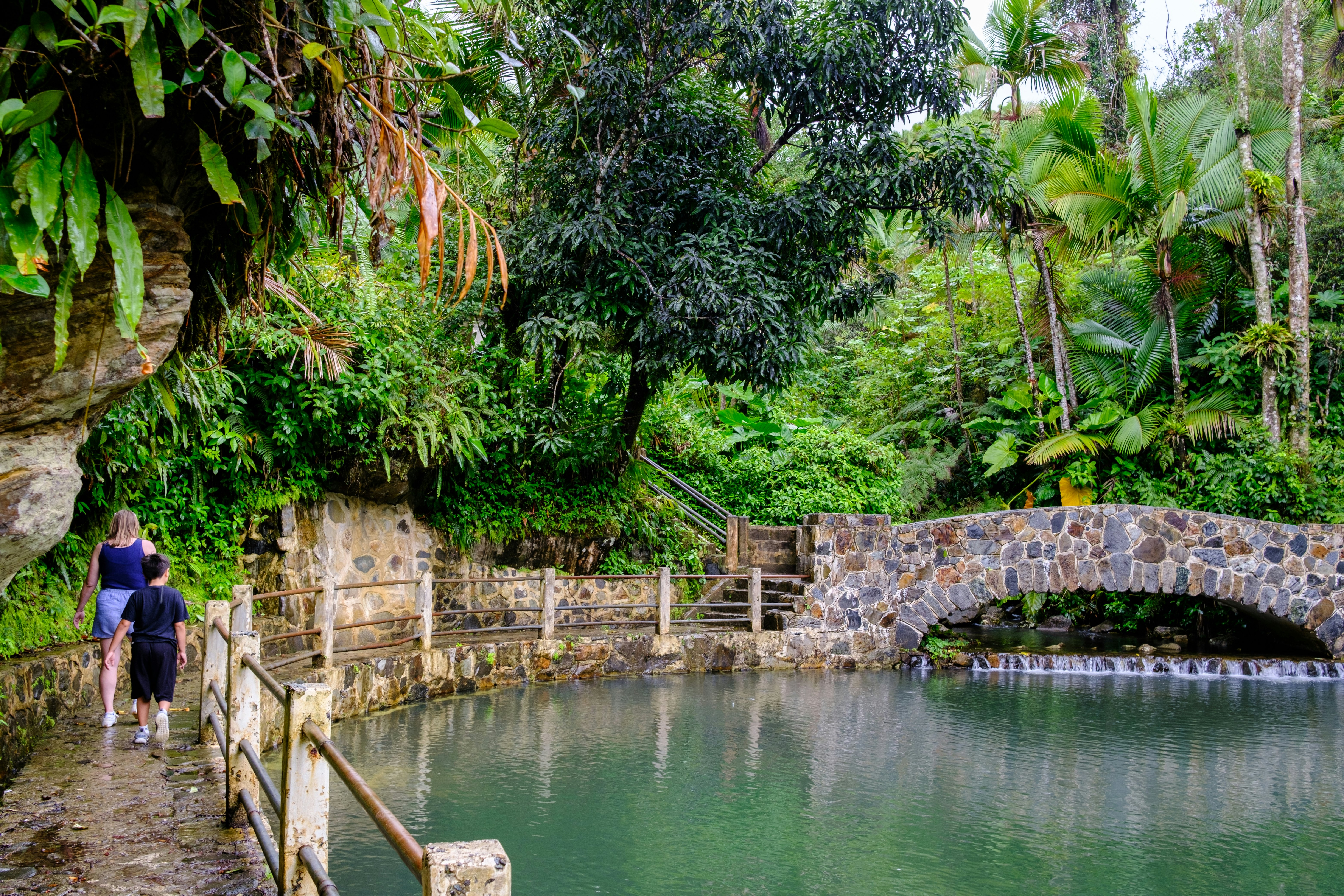 Visitors exploring El Yunque National Forest in Puerto Rico