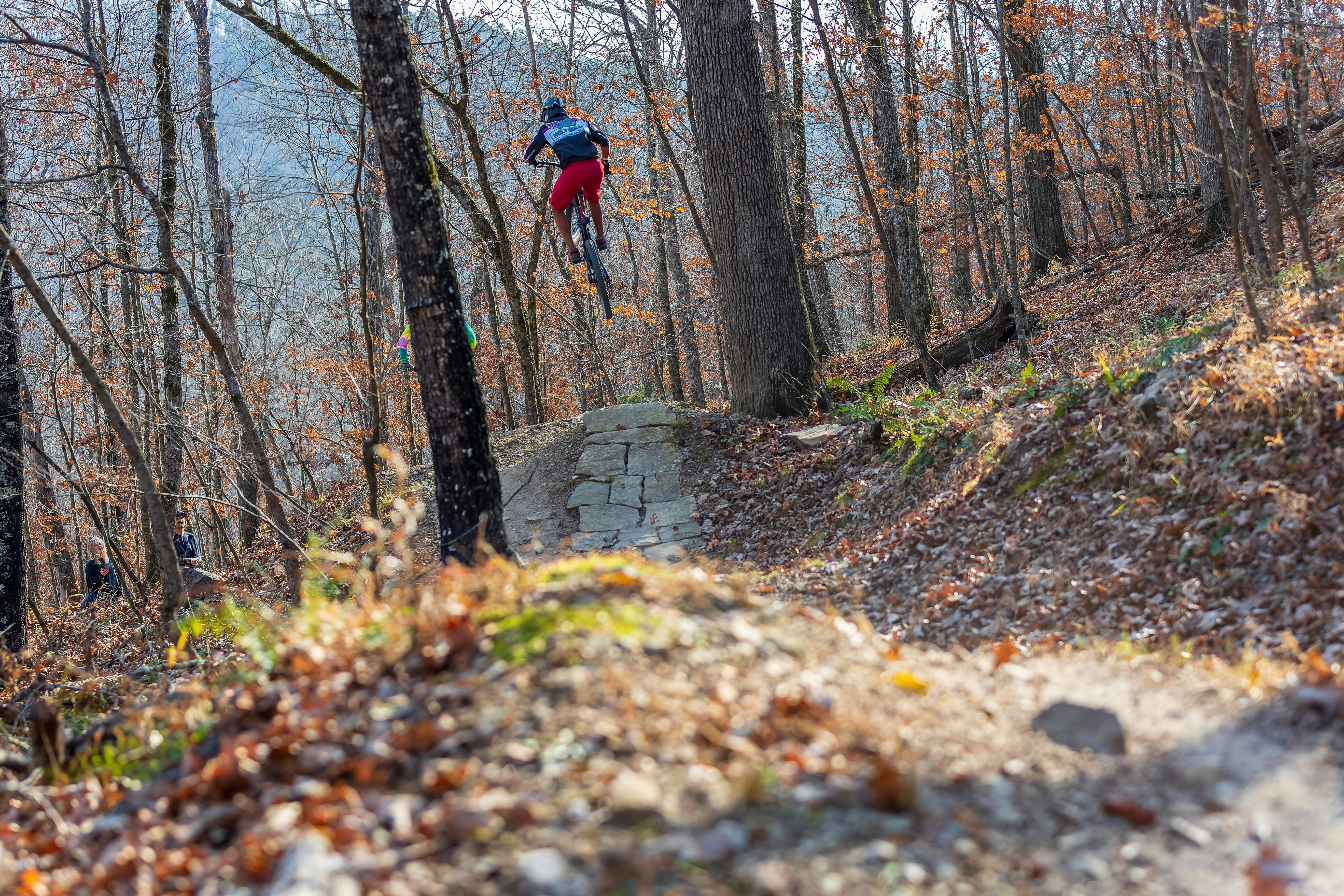 A biker on a dirt trail through the woods jumps into the air.