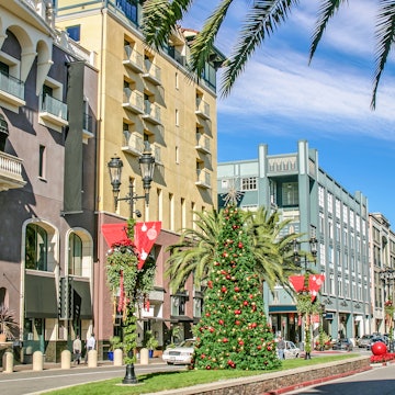 Scenery of the beautiful shopping avenue in San Jose License Type: media Download Time: 2023-02-22T18:10:57.000Z User: BBuckner_lonelyplanet Is Editorial: No purchase_order: