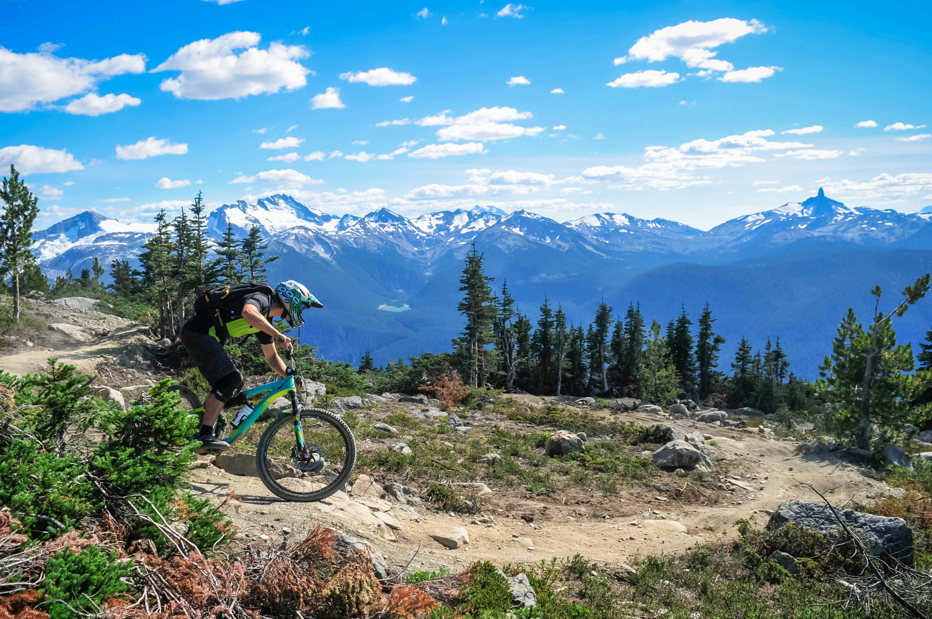 A mountain-biker wearing a helmet pedals down a rough trail in a mountainous wooded area.