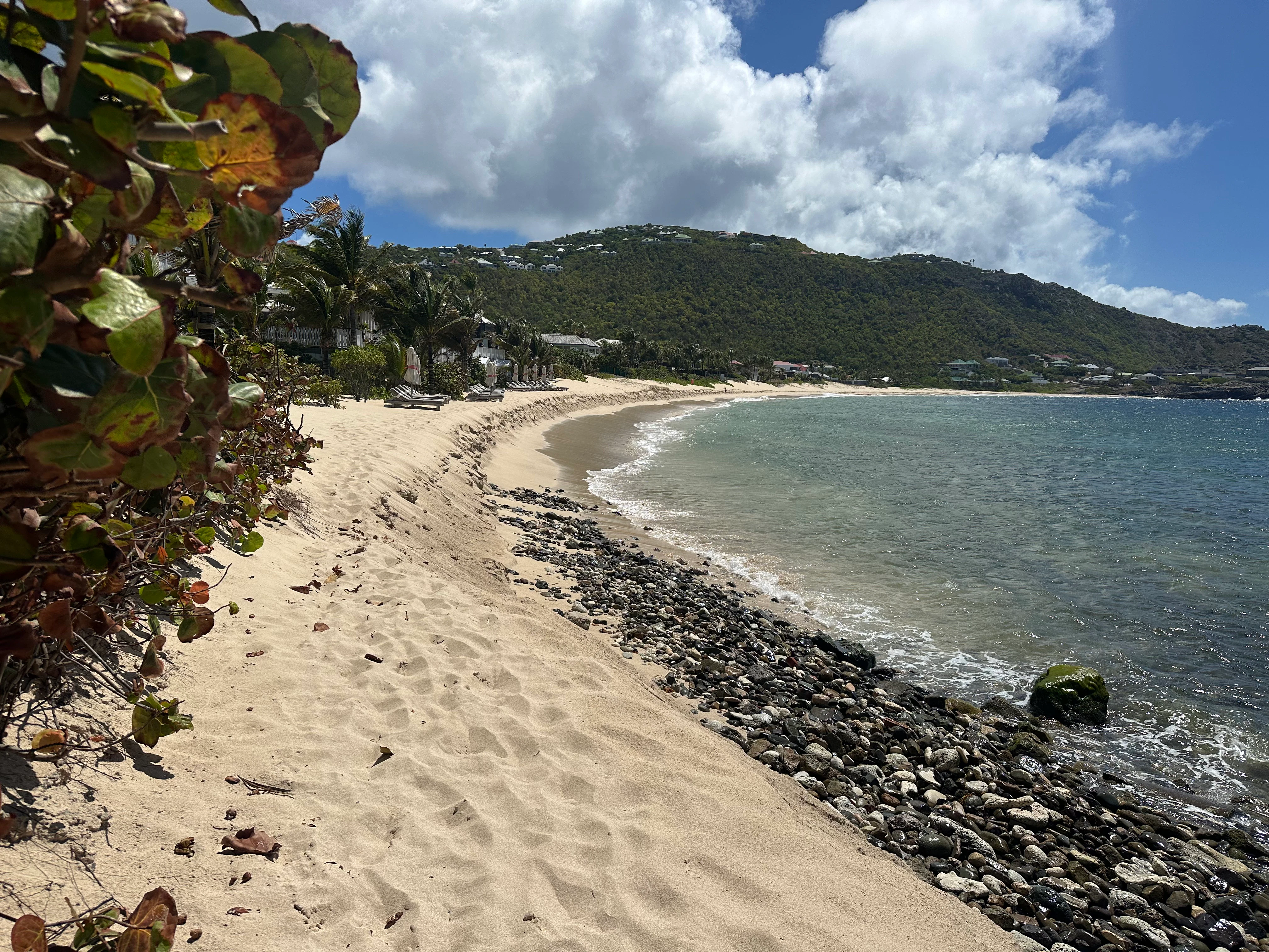 A rock-lined beach shore with palm trees and verdant hill in the background