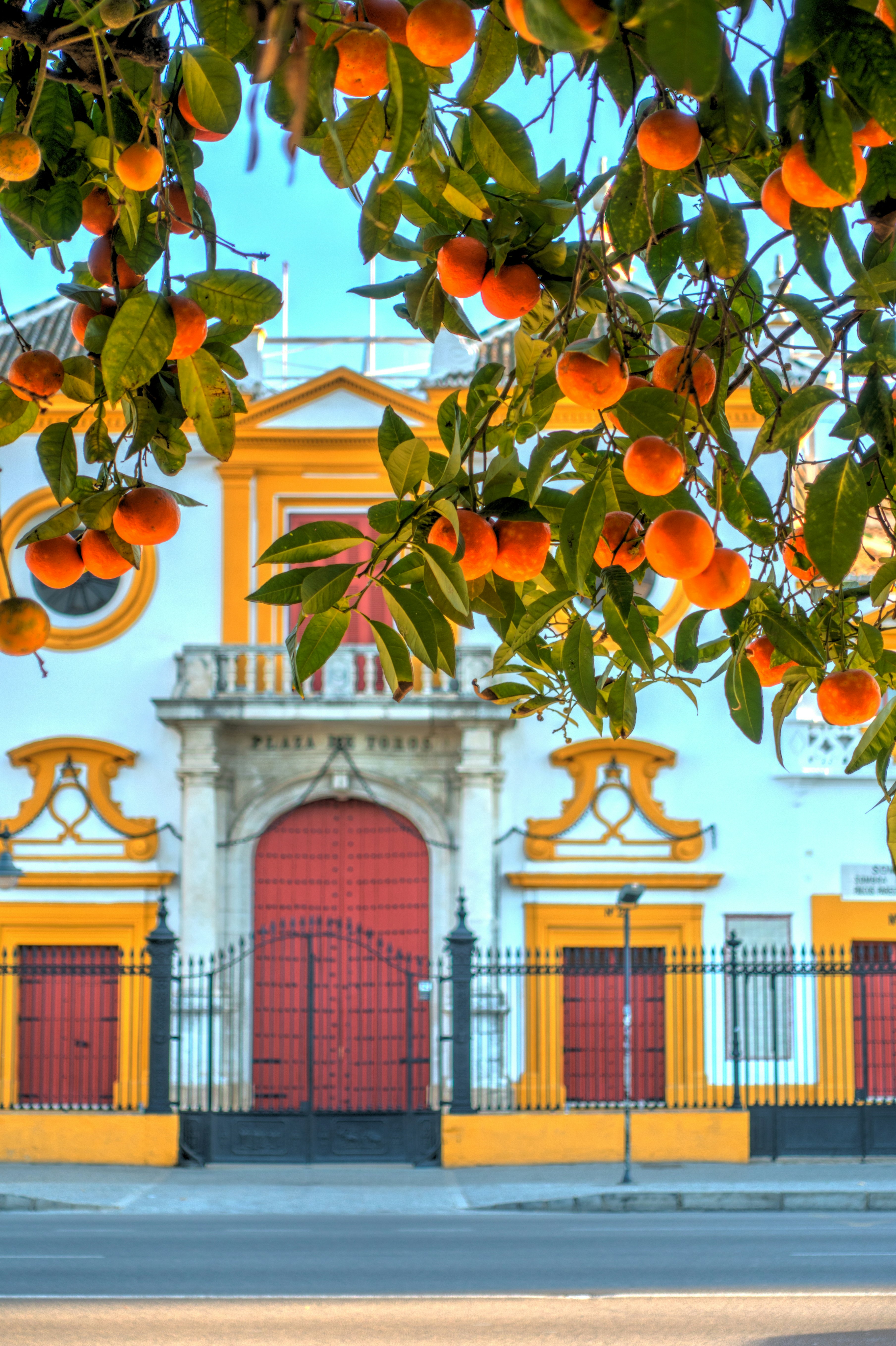 Oranges and brightly painted doorways of Seville, Spain