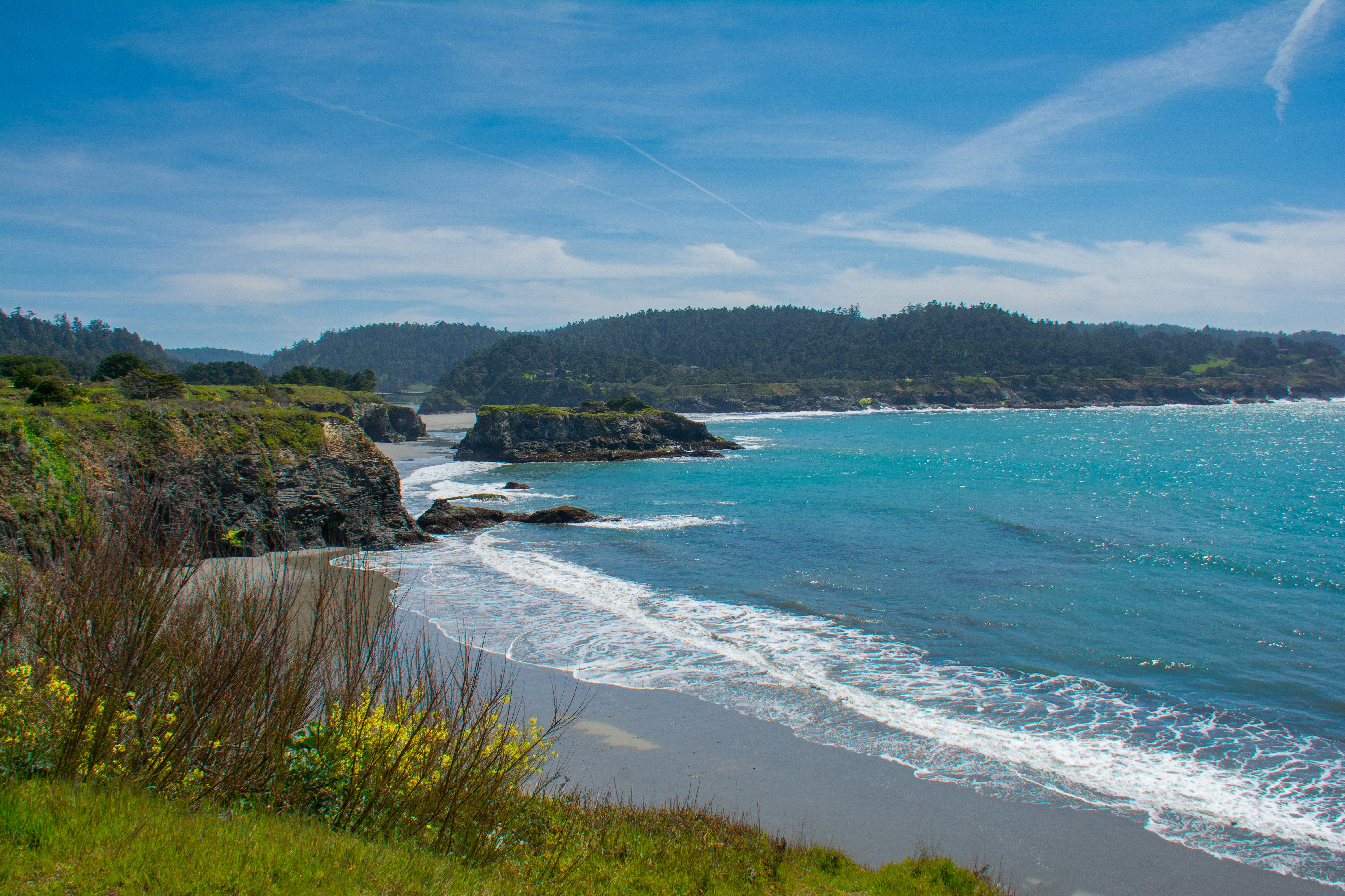 Grassy cliffs fall to a sandy beach by blue ocean water on a clear, sunny day on the California coast.