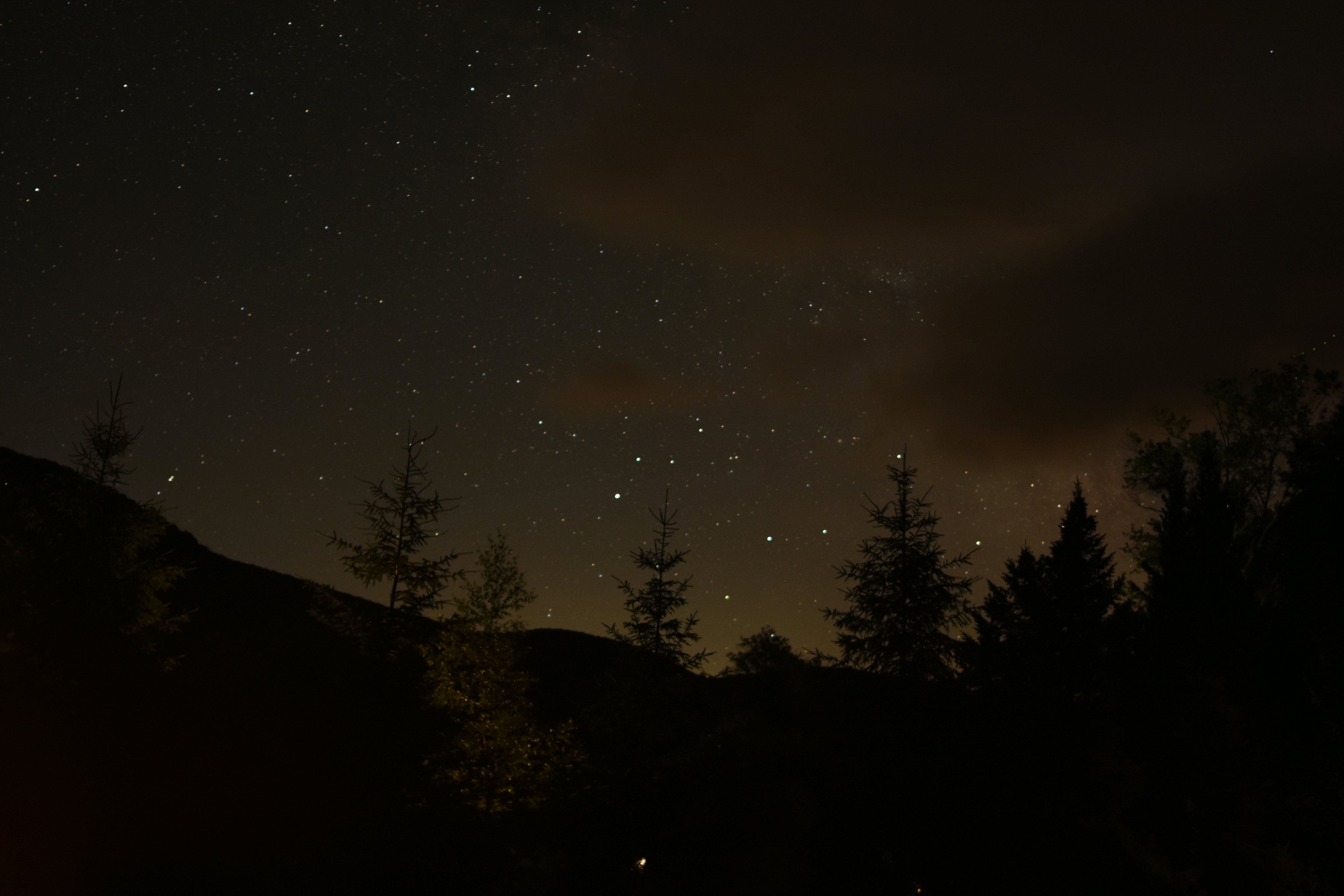 The dark shadows of a mountain and several trees amid a nearly clear night sky