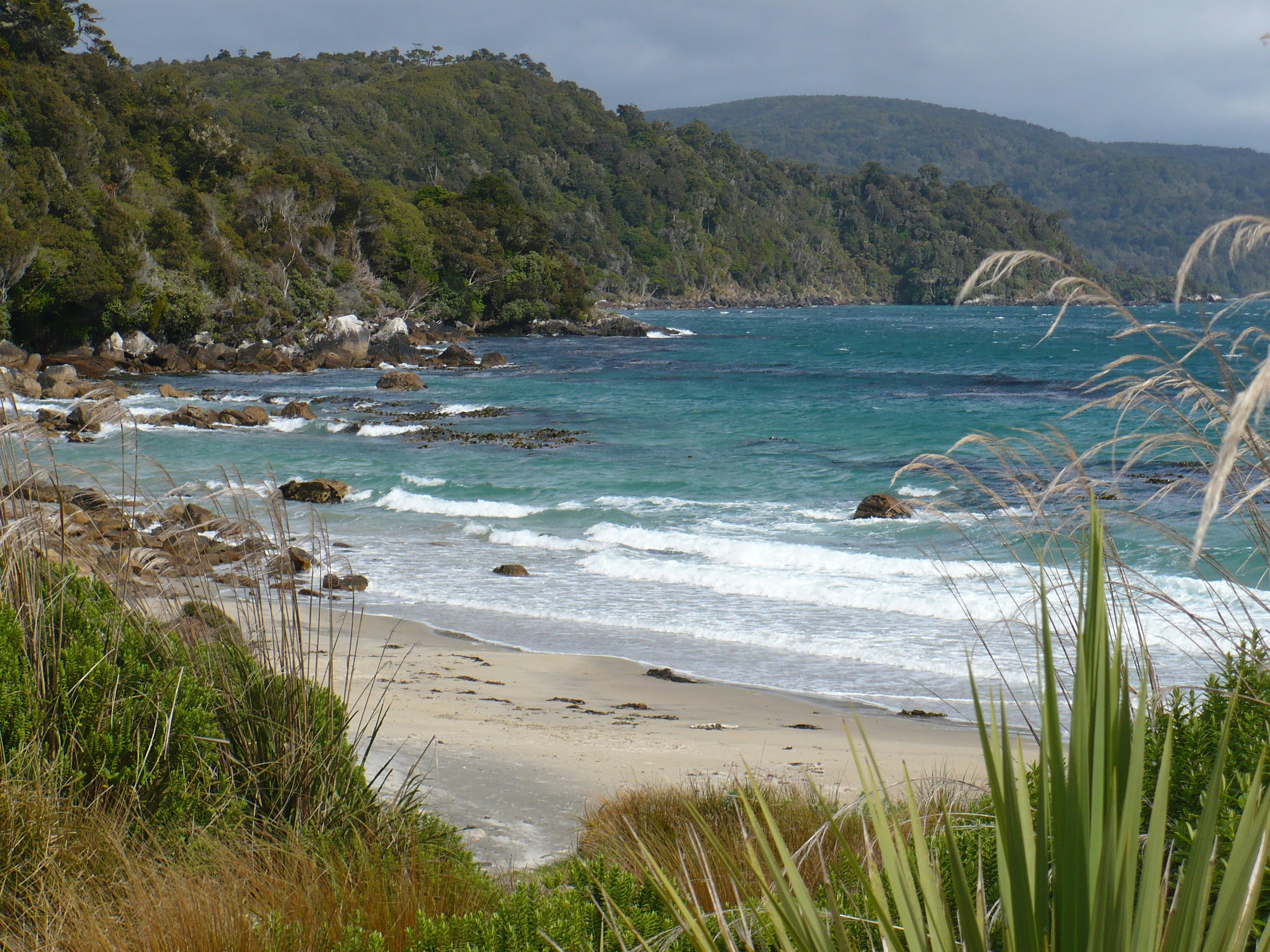 The Rakiura Track is a 32-kilometre circular tramping track in Rakiura National Park on Stewart Island in New Zealand