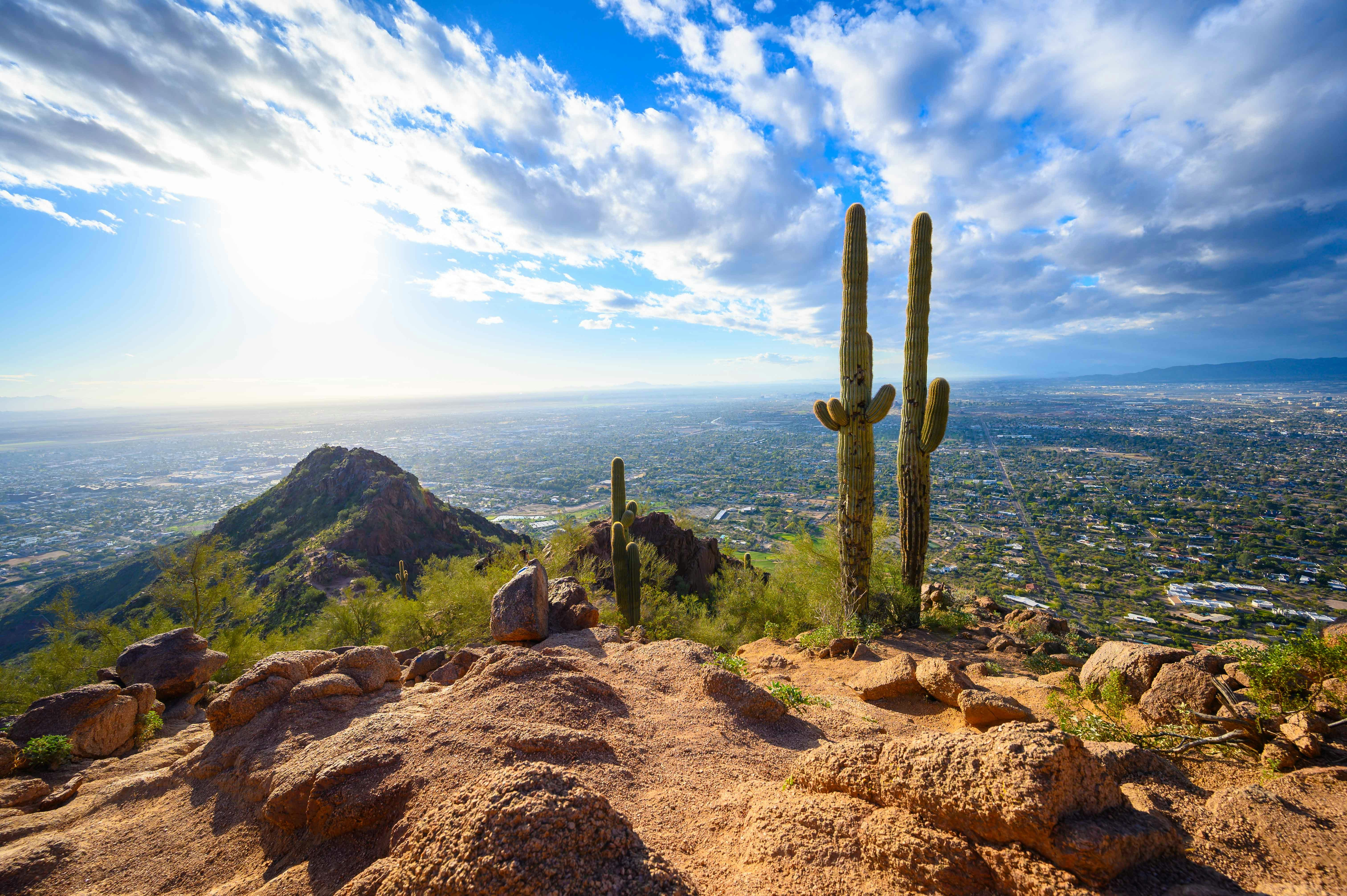 Camelback Mountain cacti in the morning with a view over the city