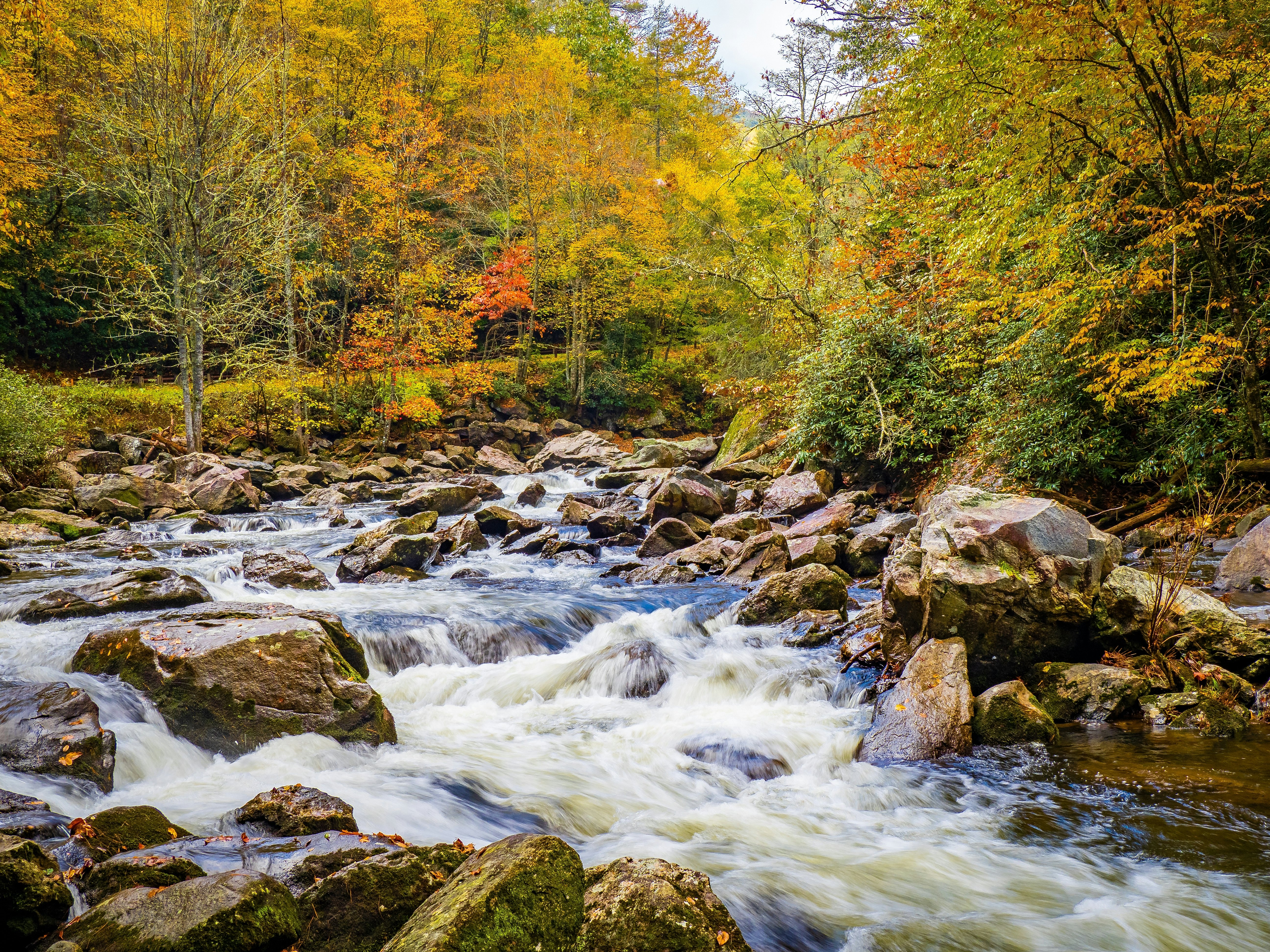 The Cullasaja River in Nantahala National Forest, North Carolina. Jim Schwabel/Shutterstock