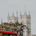 London building with trees in front, License Type: media, Download Time: 2025-01-23T21:24:07.000Z, User: adouglaslott59, Editorial: false, purchase_order: 65050 - Digital Destinations and Articles, job: future digital articles, client: future digital articles, other: Ann Douglas Lott