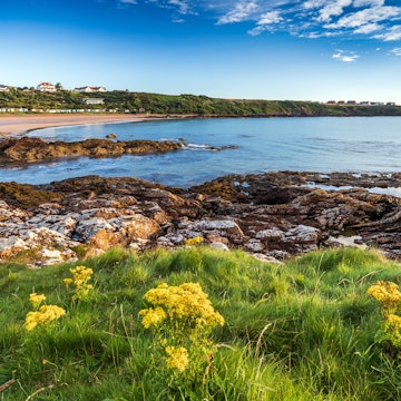 A summer morning at Coldingham Bay near Eyemouth in the Scottish Borders., License Type: media, Download Time: 2024-11-13T01:52:41.000Z, User: claramonitto, Editorial: false, purchase_order: 56530 - Guidebooks, job: Global Publishing-WIP, client: Scotland 13, other: Clara Monitto