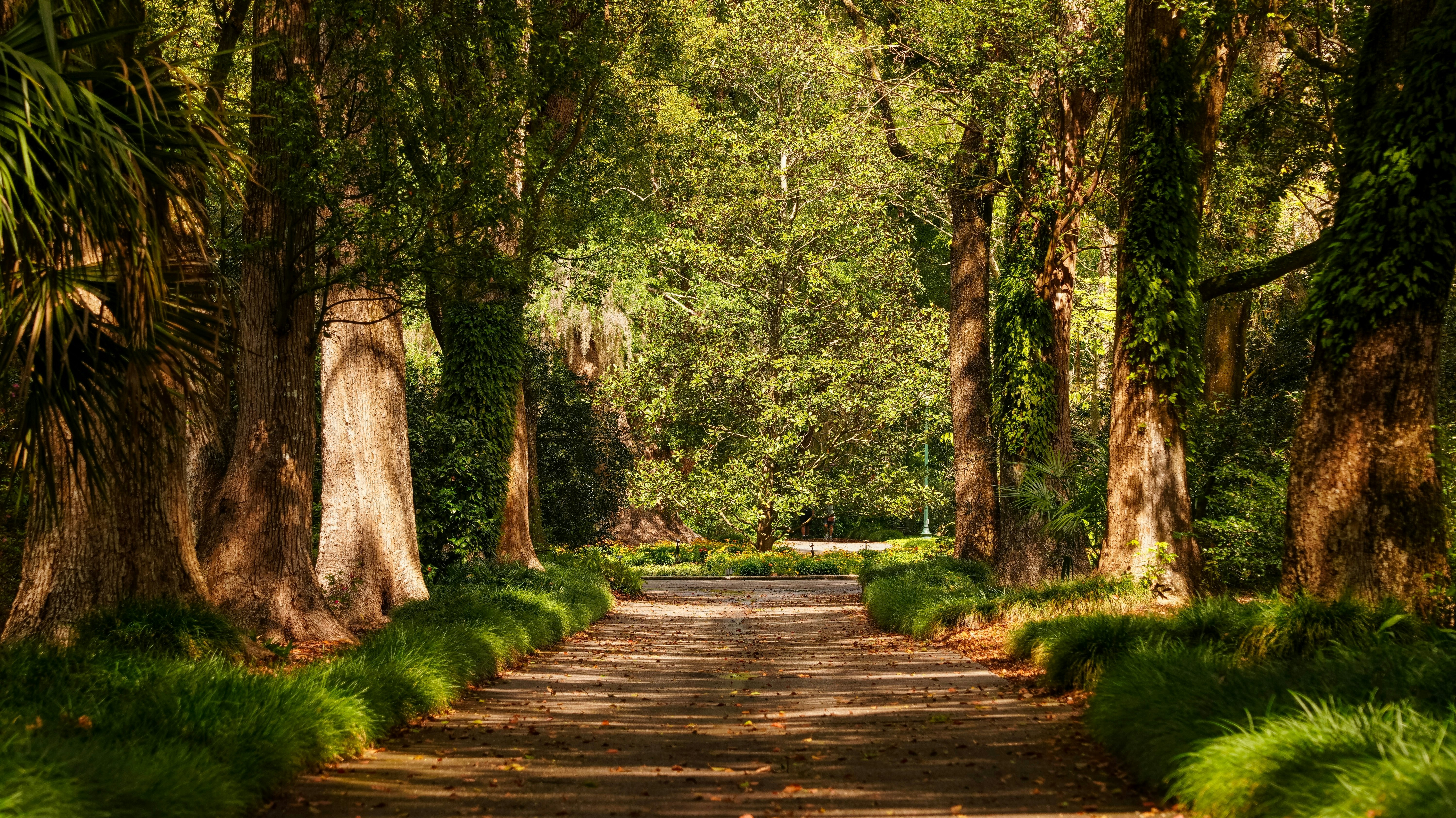 Harry P. Leu Garden at the beginning of spring in Orlando, Florida