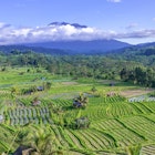 Rice fields in Sidemen valley with Mount Agung in the background, Bali, Indonesia, License Type: media, Download Time: 2025-03-31T19:11:32.000Z, User: Ppeterson948, Editorial: false, purchase_order: 65050 - Digital Destinations and Articles, job: Global Publishing WIP, client: Global Publishing WIP, other: Pia Peterson Haggarty // SS Comp Ingestion