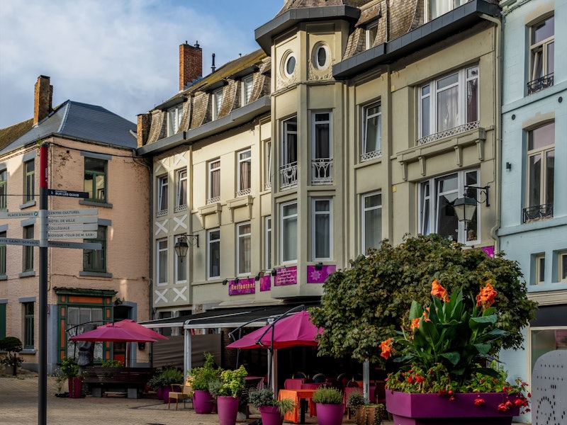 Traditional historic buildings featuring classical Belgian architecture with colorful flowers and small trees planted in front