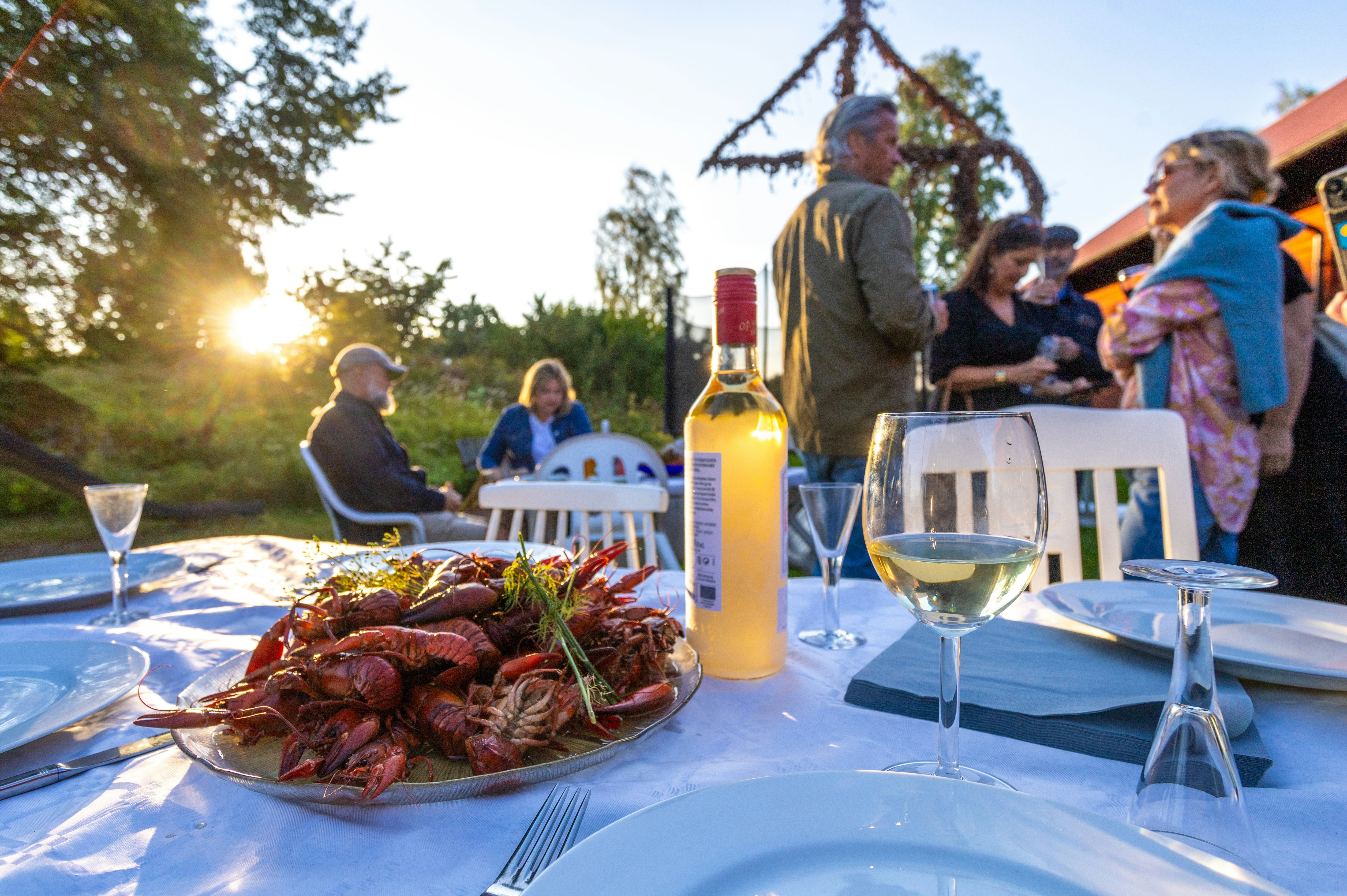 A traditional Swedish crayfish party in evening sun, featuring a platter of freshly caught crayfish, a bottle of schnapps, cheerful guests, and a midsummer pole in the background.
