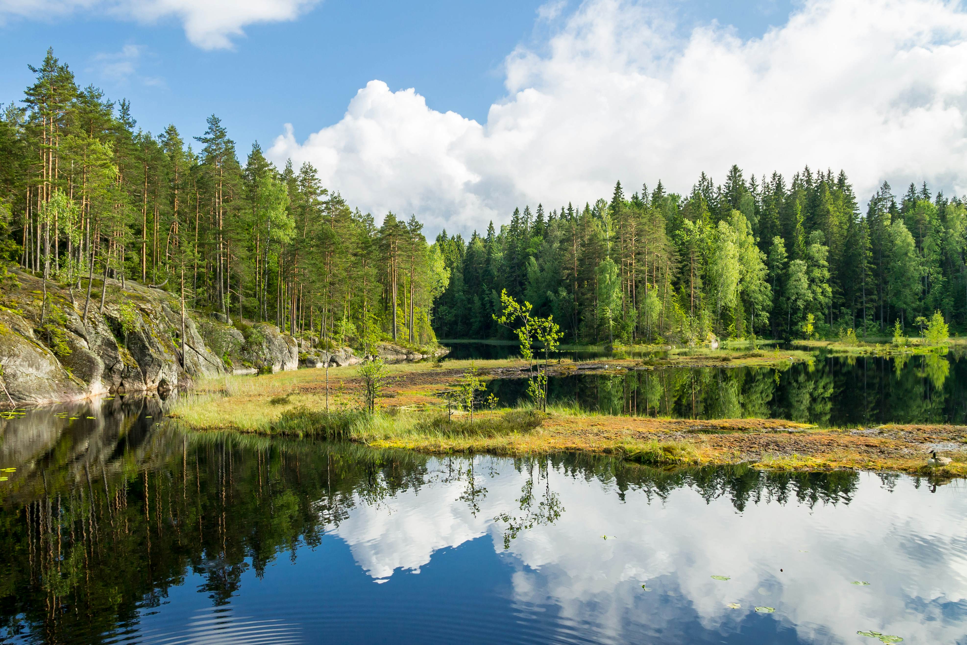 White clouds are reflected on a lake in a forest in Finland.