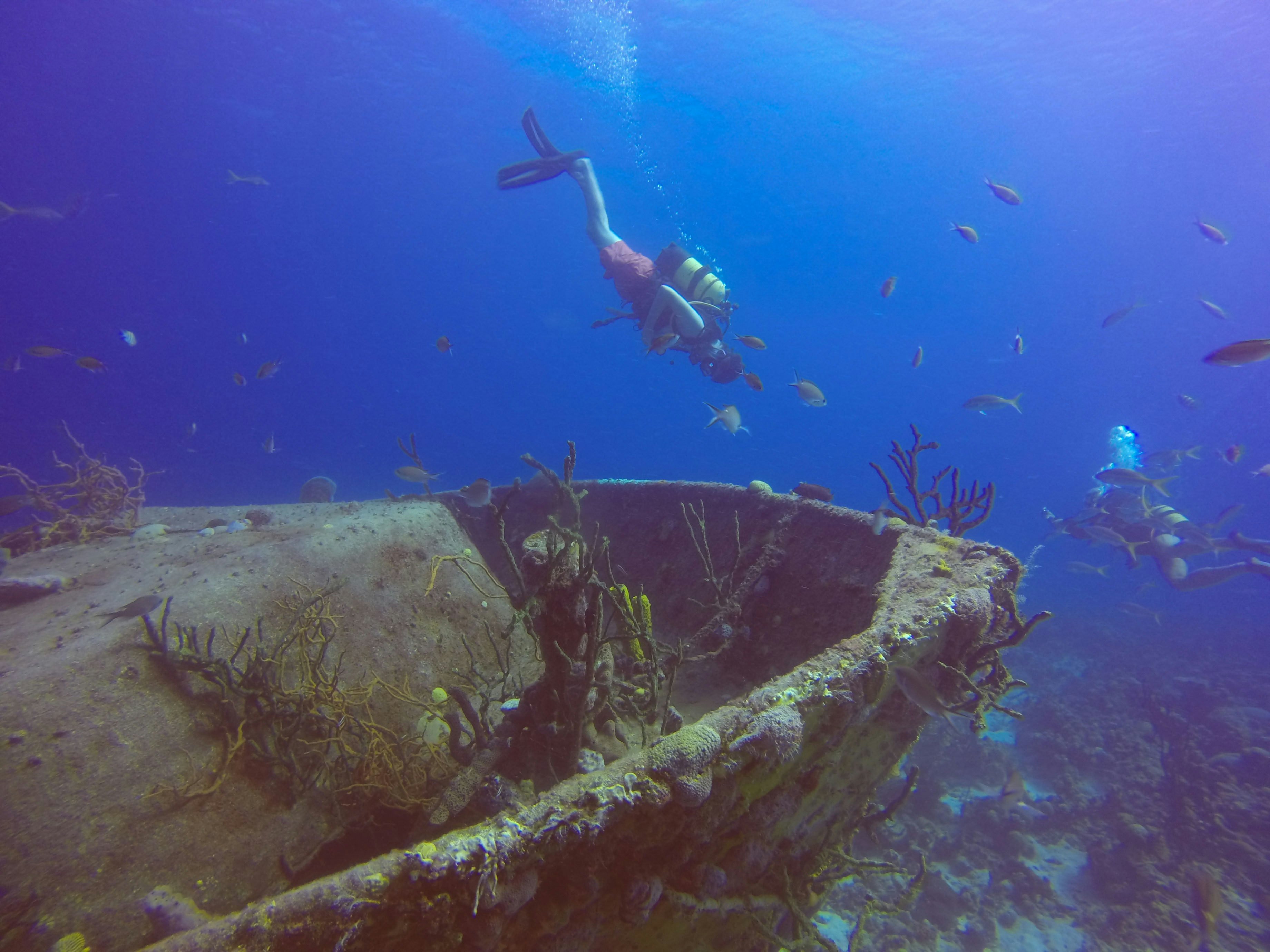 A scuba diver descends towards the wreck of a ship covered in coral as small fish swim by.