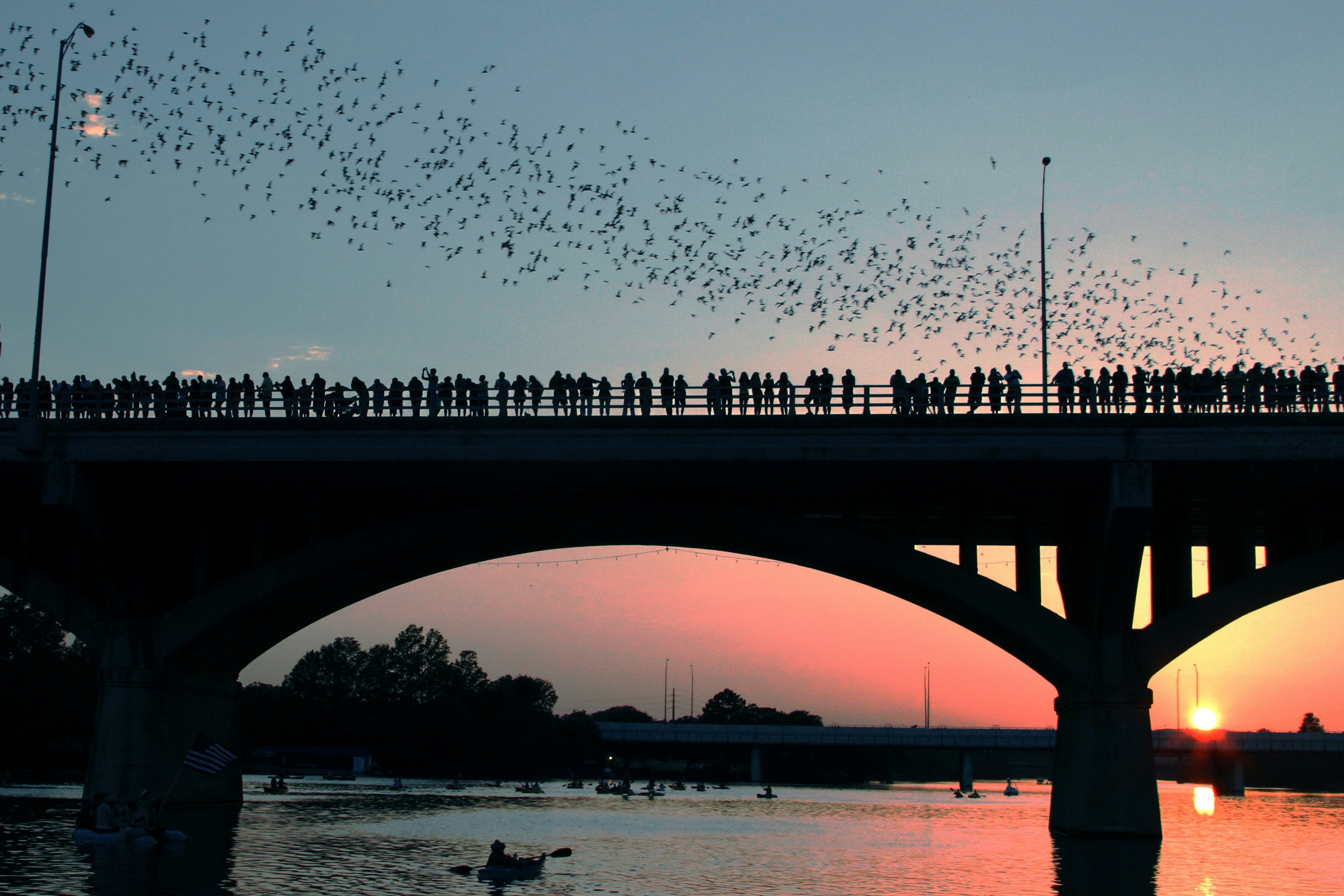 People in silhouette stand on a bridge over a river as the sun sets. The sky above is full of bats flying away together.