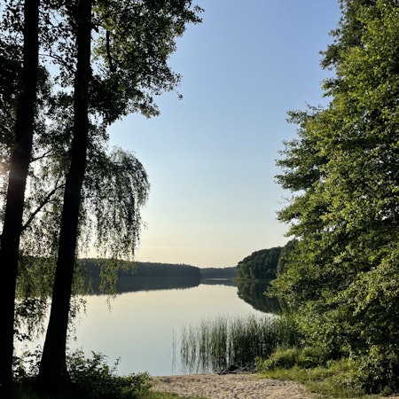 A calm body of water with trees and sand its shore