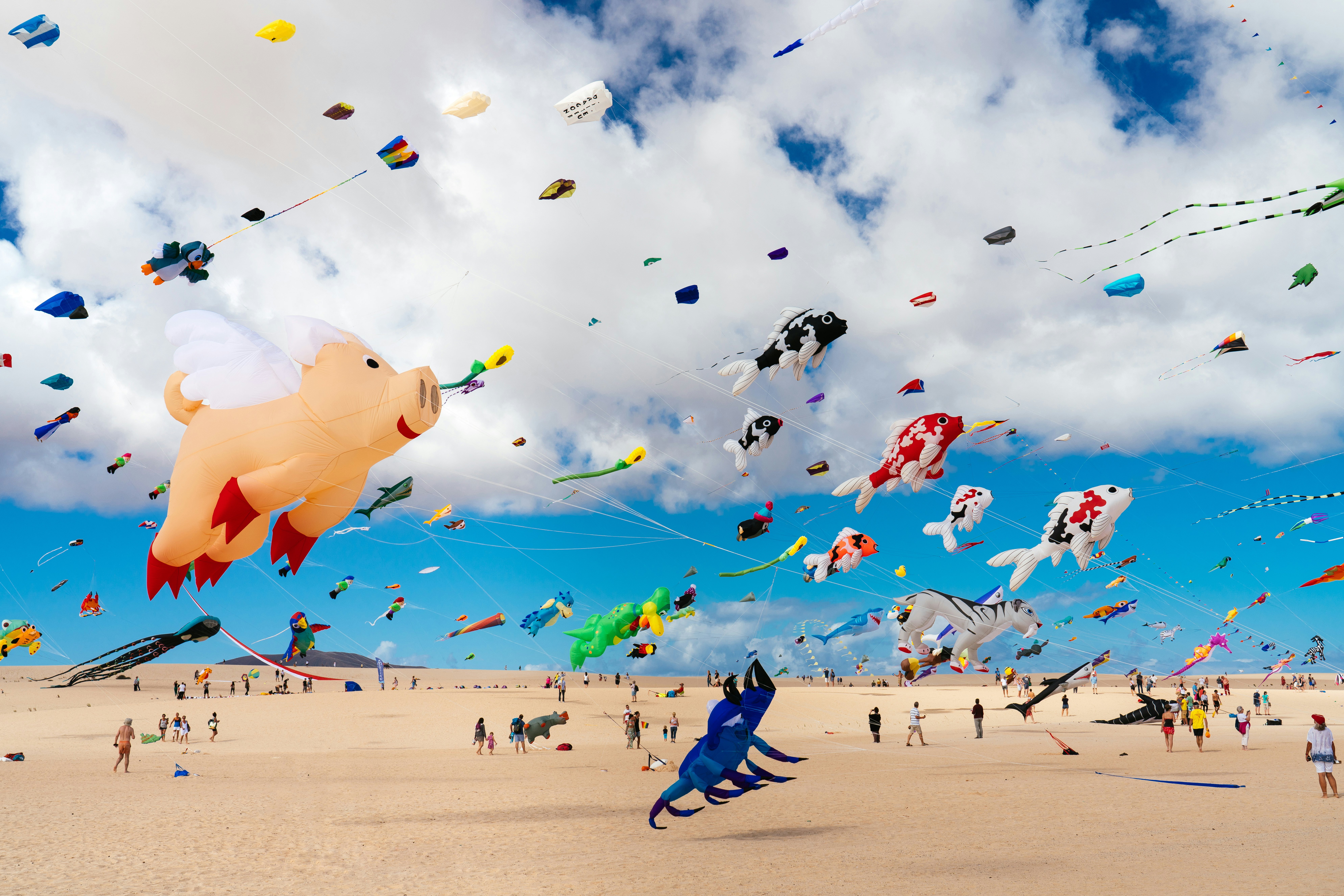 Colorful kites in animal shapes flying at a festival on a sandy beach in the Canary Islands.