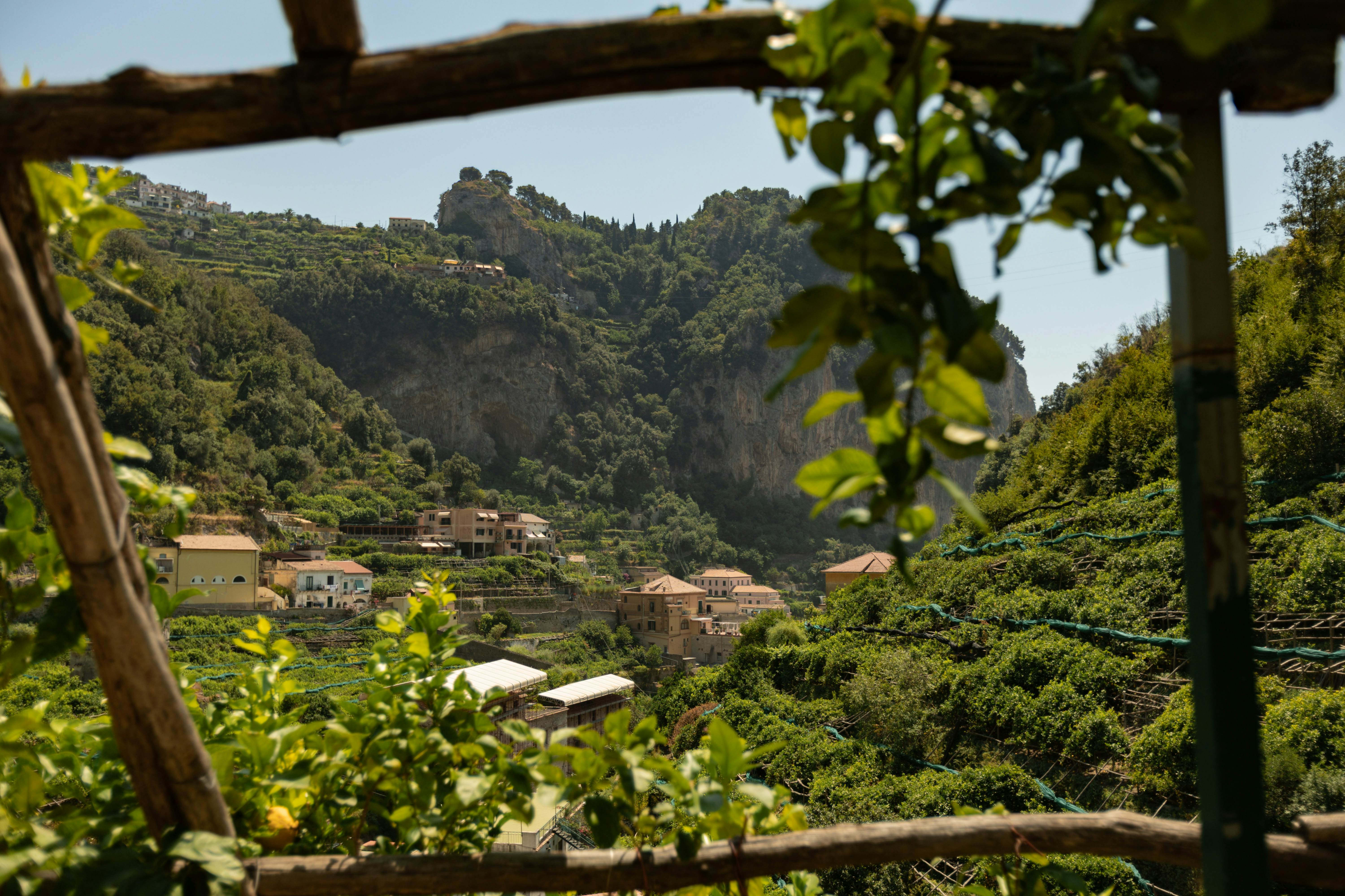Lemon Grove at Honey at the Amalfi Lemon Experience, Amalfi, Italy.