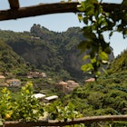 Lemon Grove at Honey at the Amalfi Lemon Experience, Amalfi, Italy.