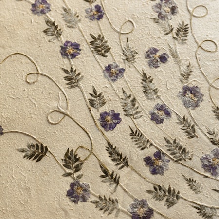 Flowers pressed into paper.
