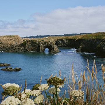Mendocino Coast, California, July 2025.