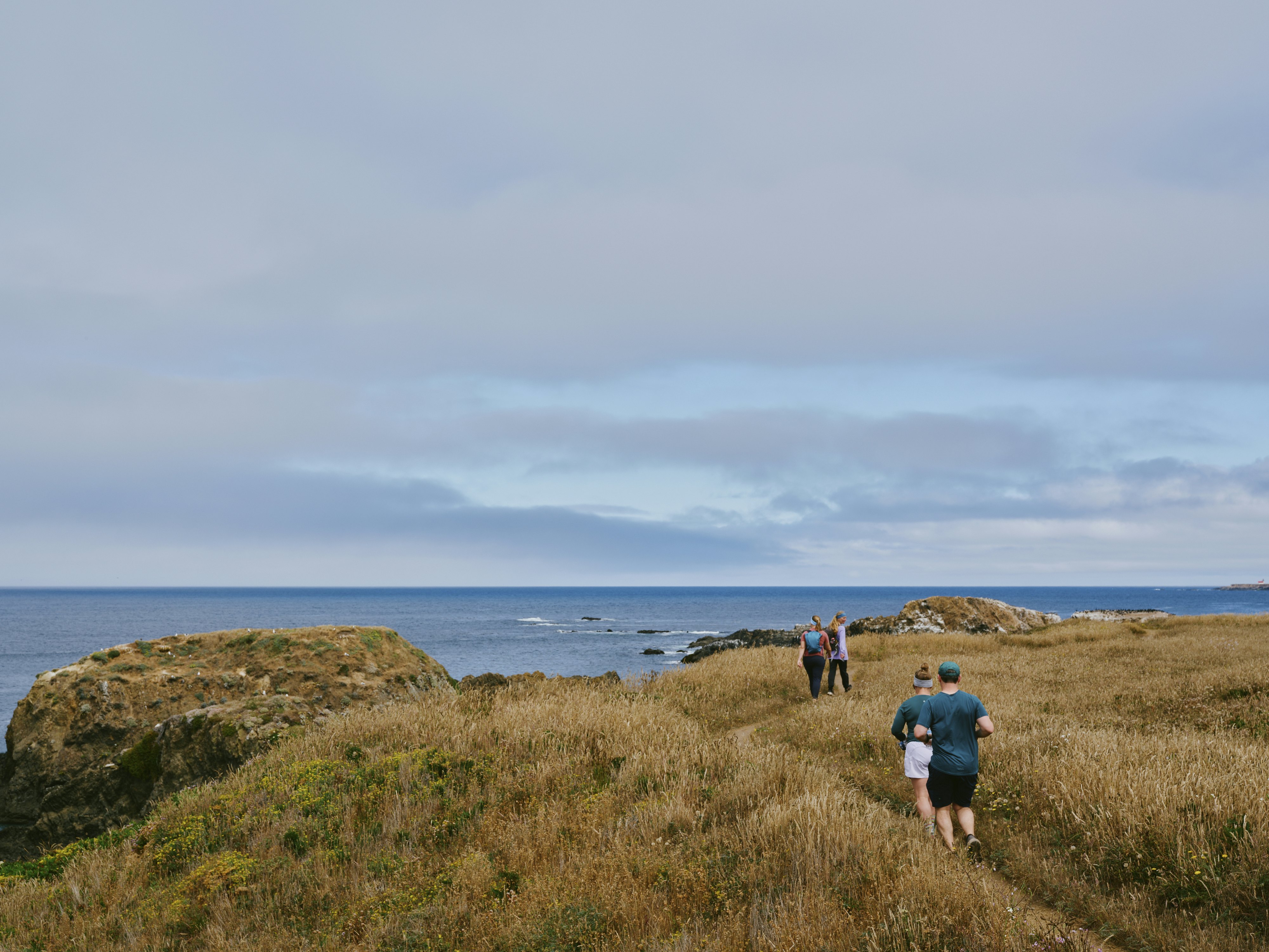 Runners and hikers on the Mendocino Coast.