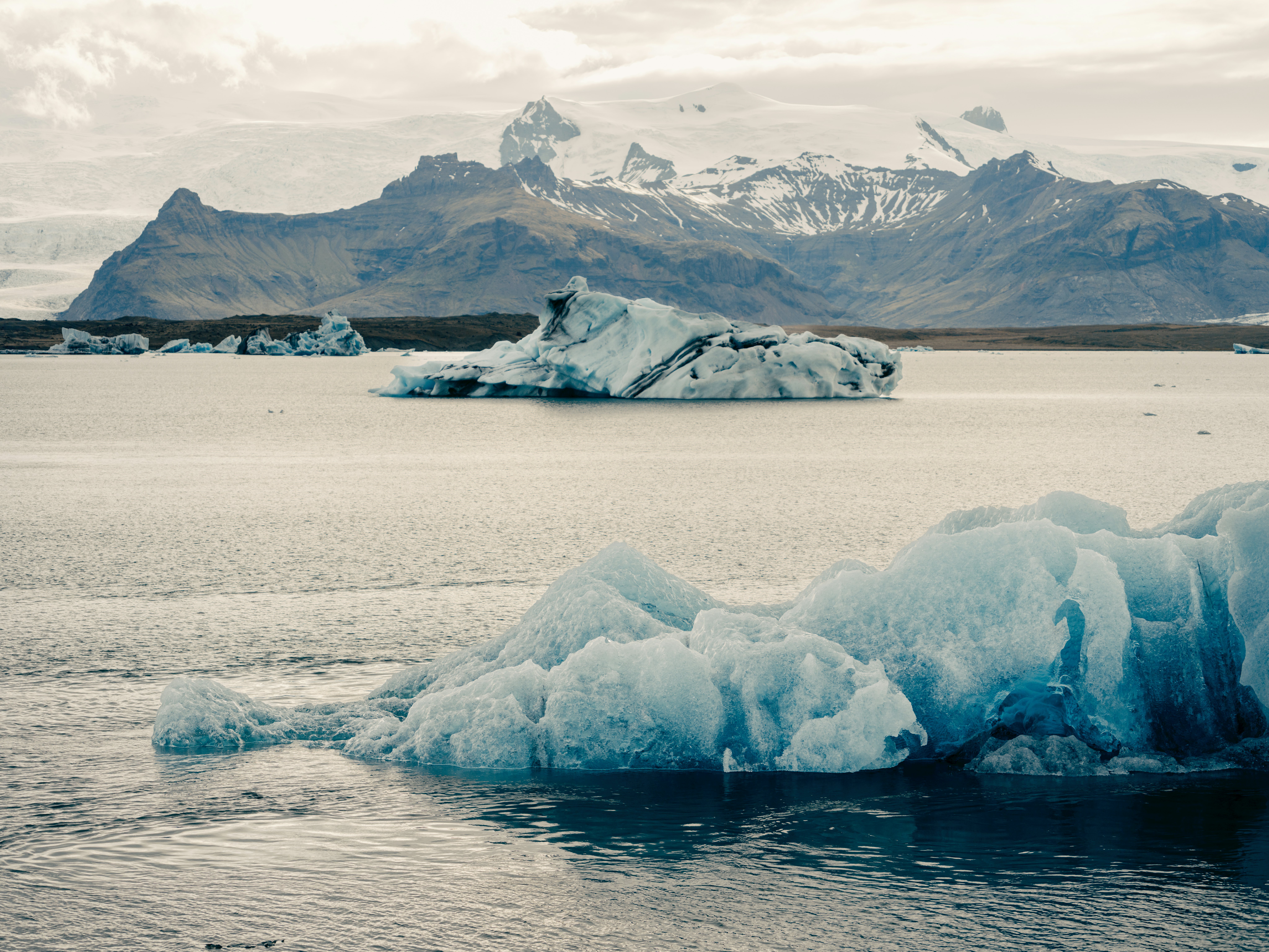 Bluish glacier calves float in a lagoon in Iceland, with snowcapped mountains at the shore.